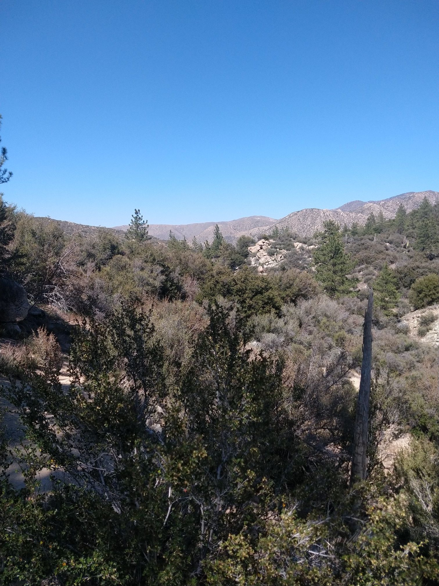 Expansive view of sunny, brush-covered hills and distant mountains under blue sky. - Pacific Crest Trail: Three Points to Sulphur Springs