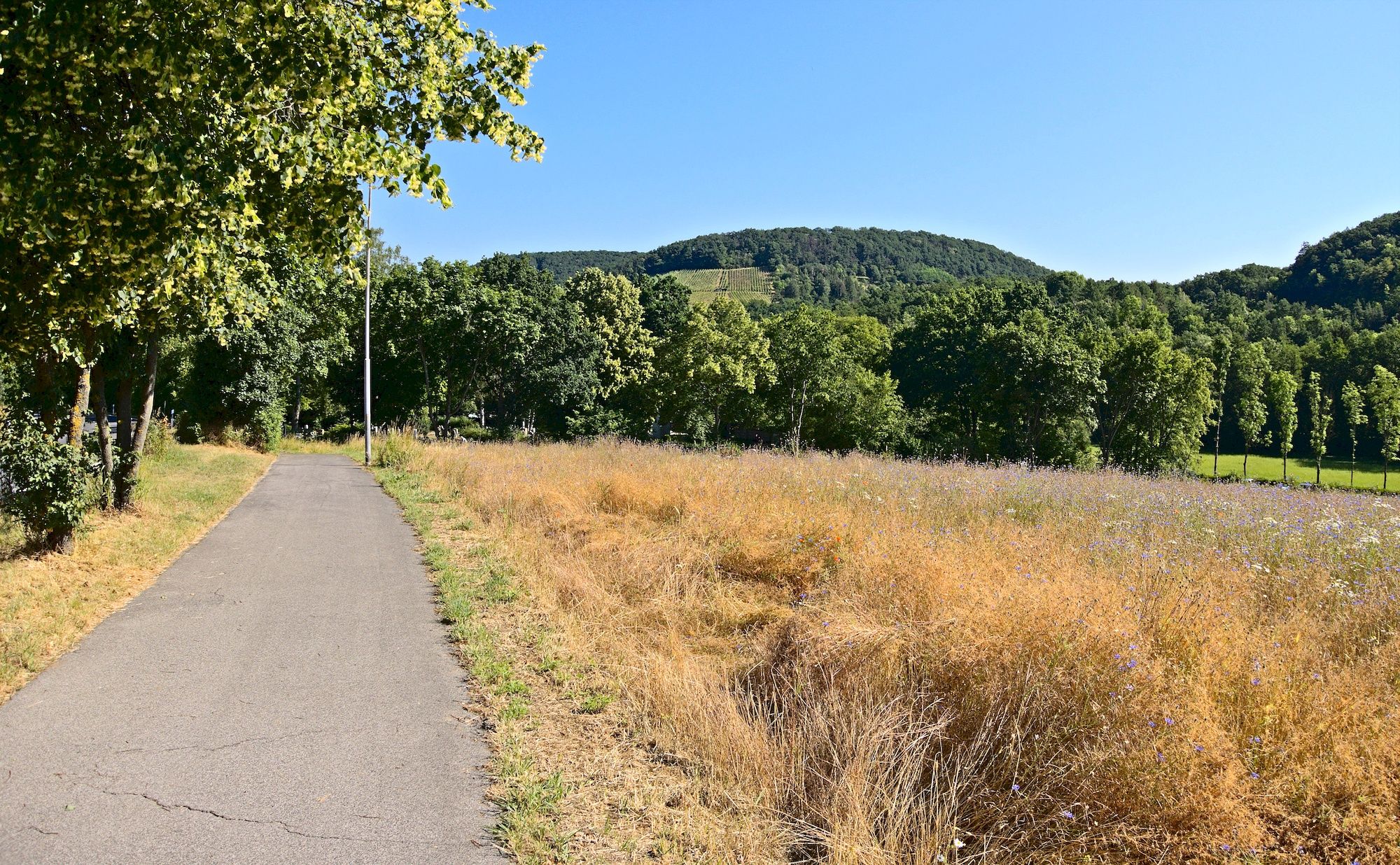 Ausfahrt aus Zeil