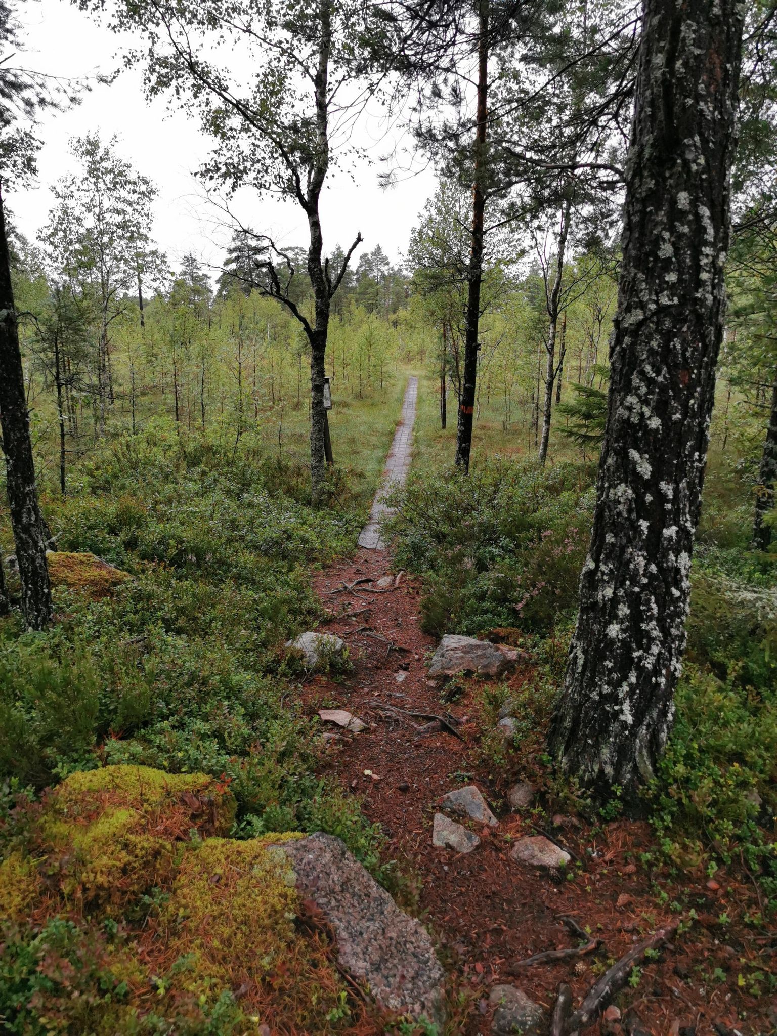 Anfang/Ende Rundweg durch das Moor