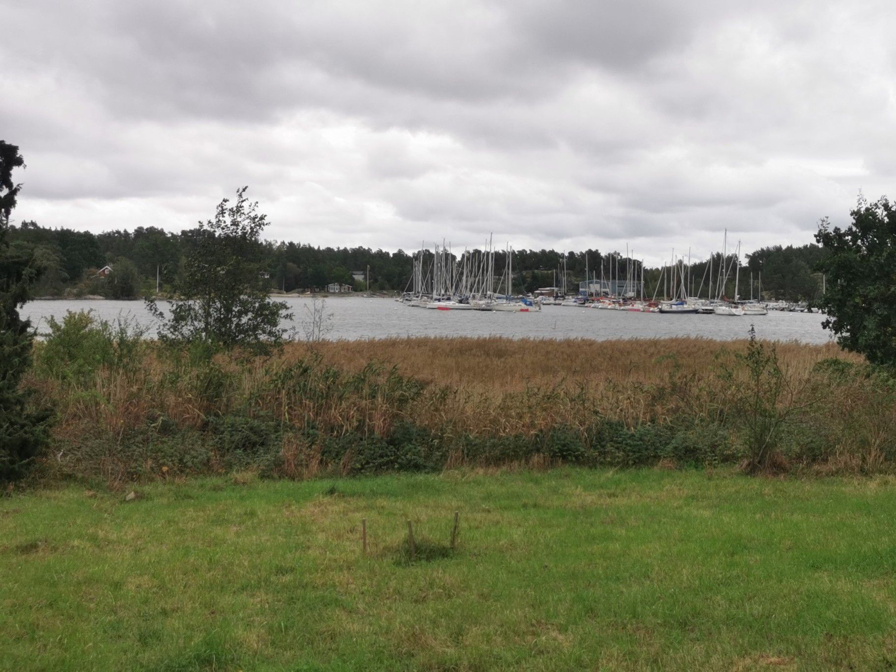 Hafen 