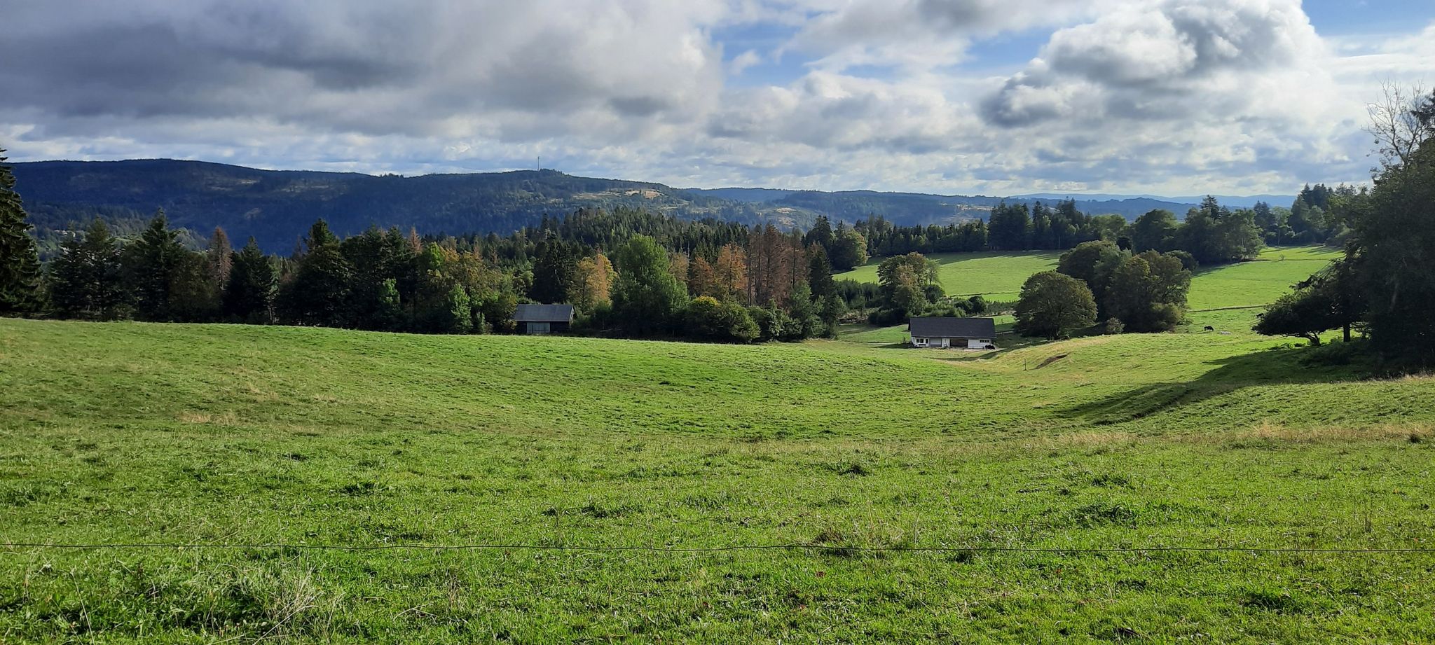 Blick von Höchenschwand, dem "Dorf am Himmel" in den Schwarzwald