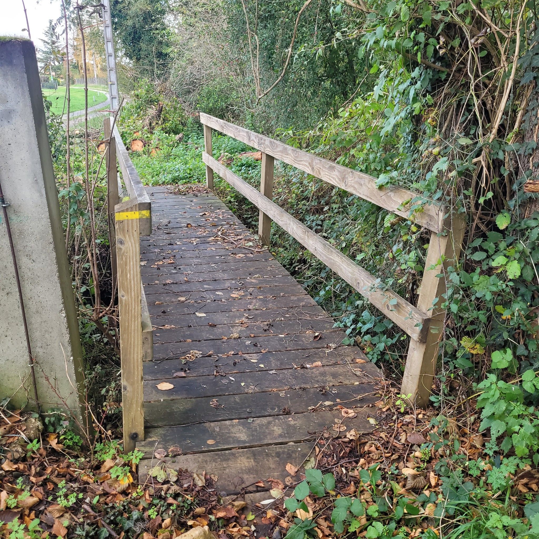 petit pont
