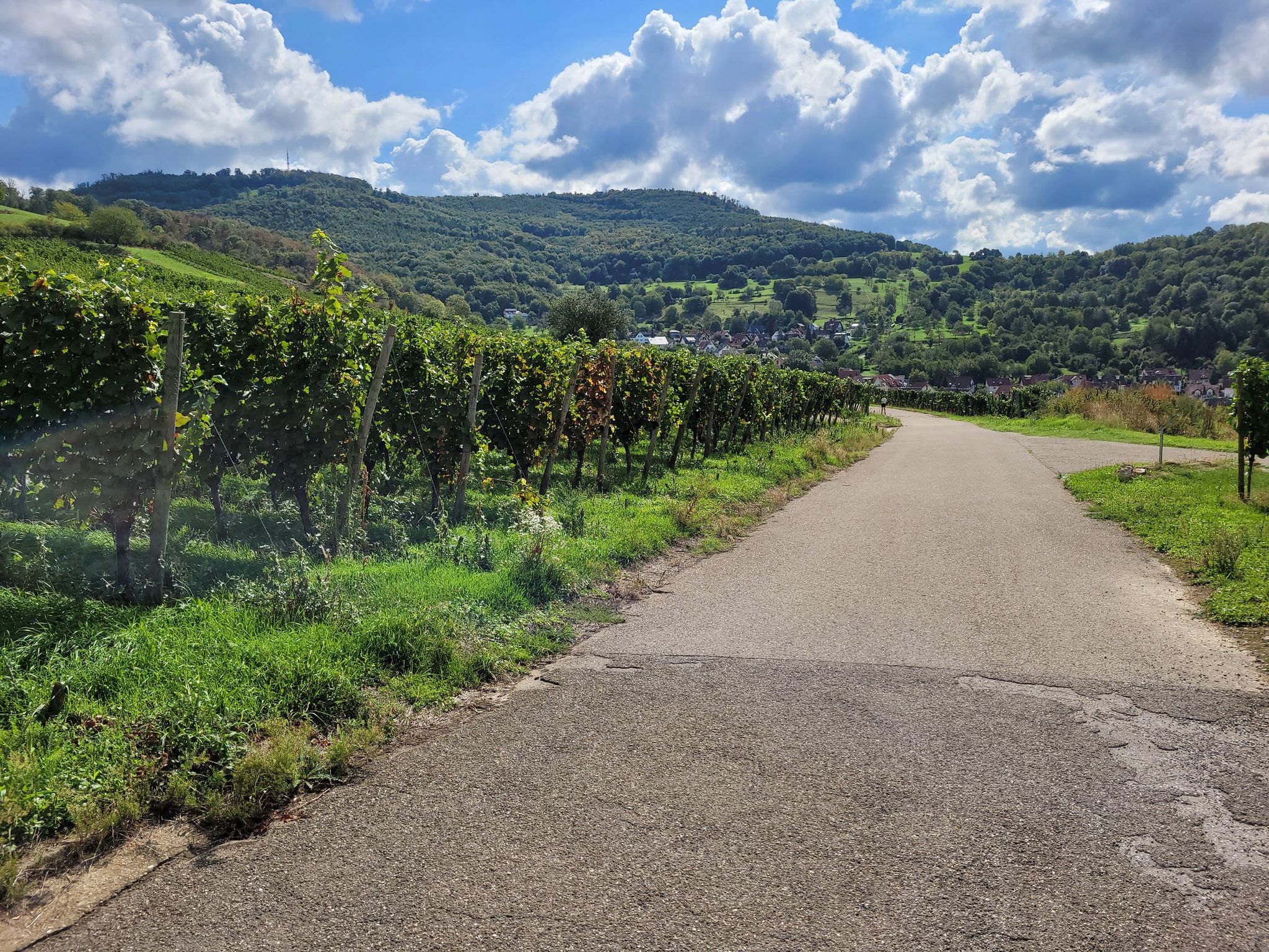 ebringen schönberg