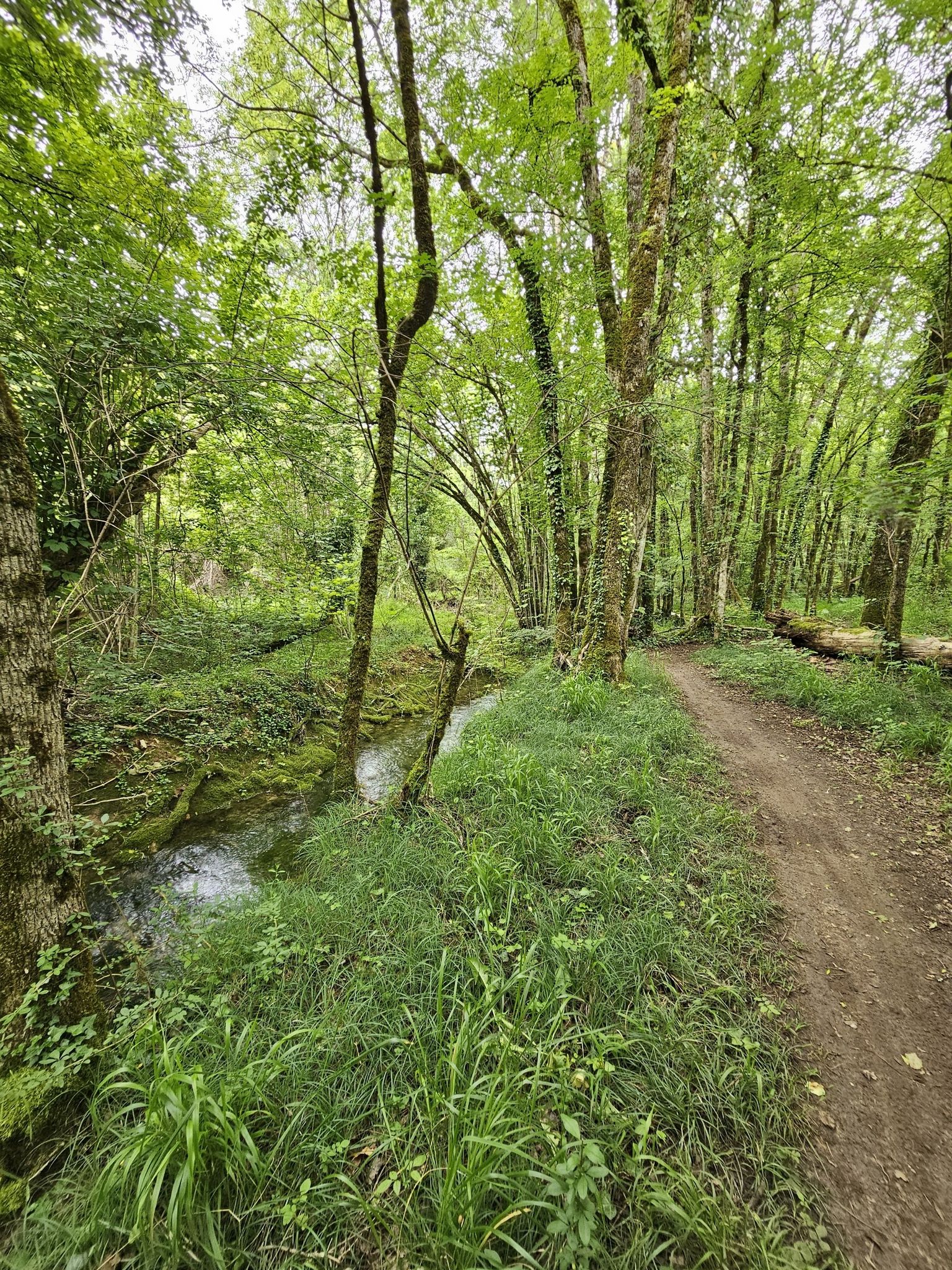 Ruisseau du Bondoire