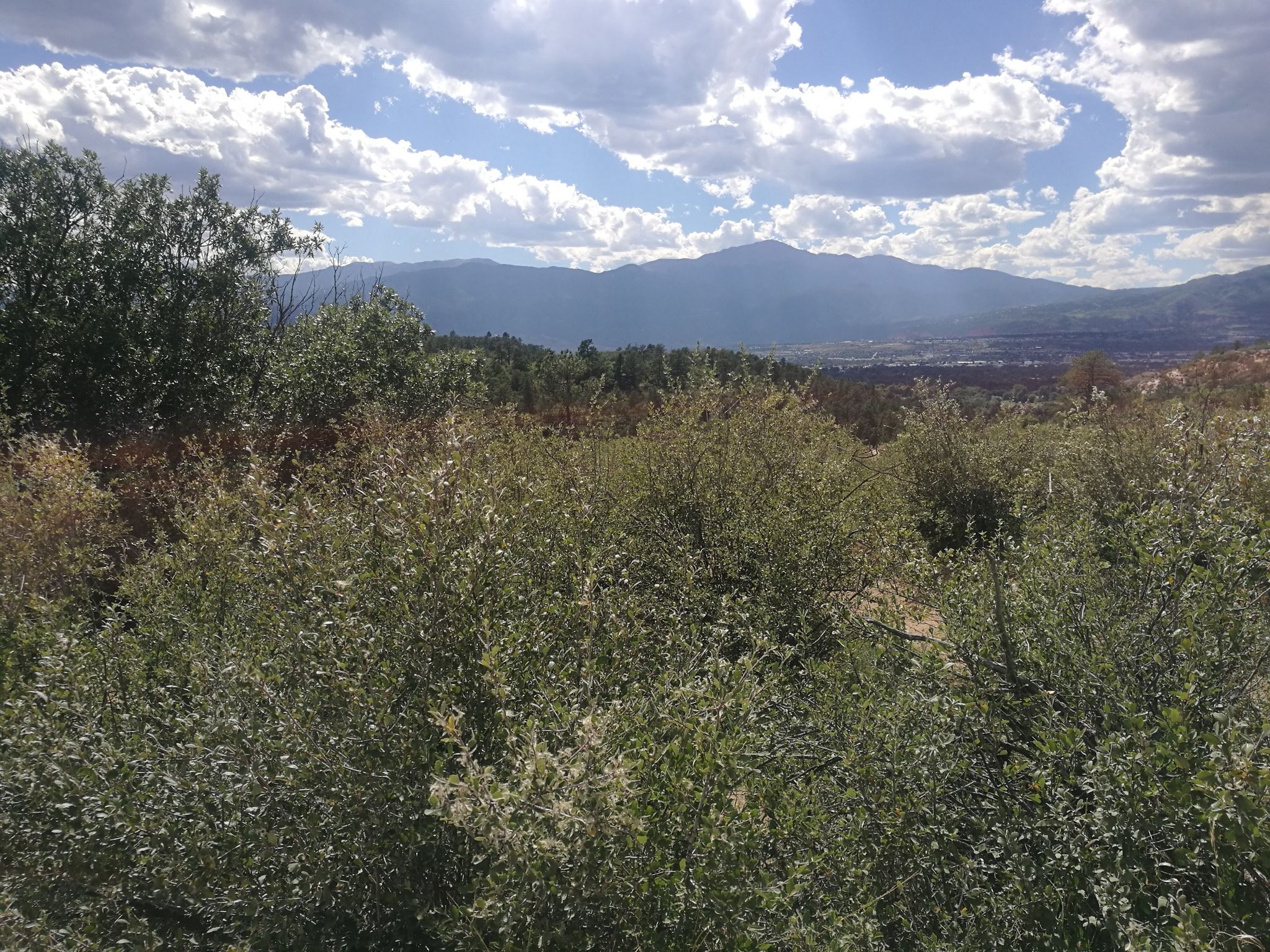 Lush green bushes in foreground with distant mountains under a partly cloudy sky. - South East of Colorado Springs Loop