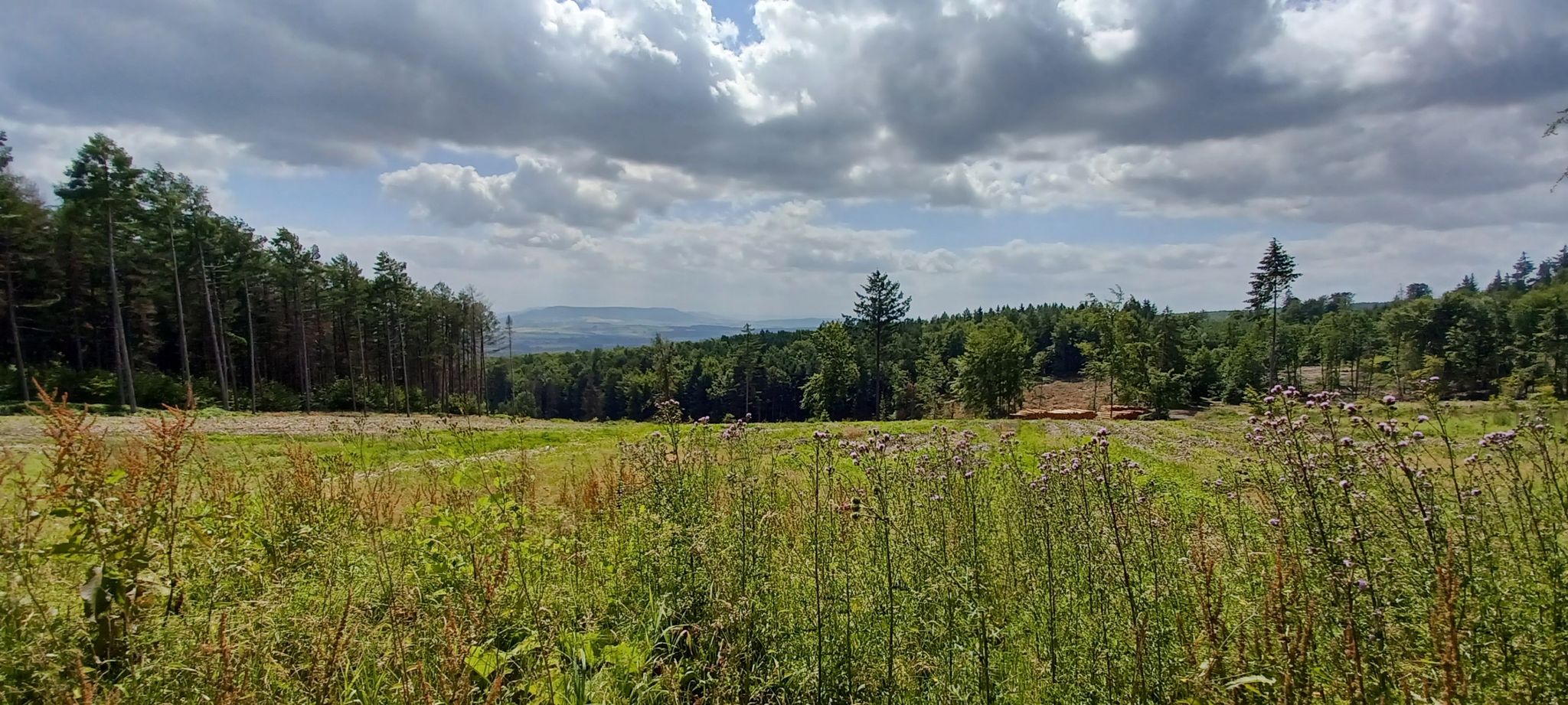 Blick zum Ith