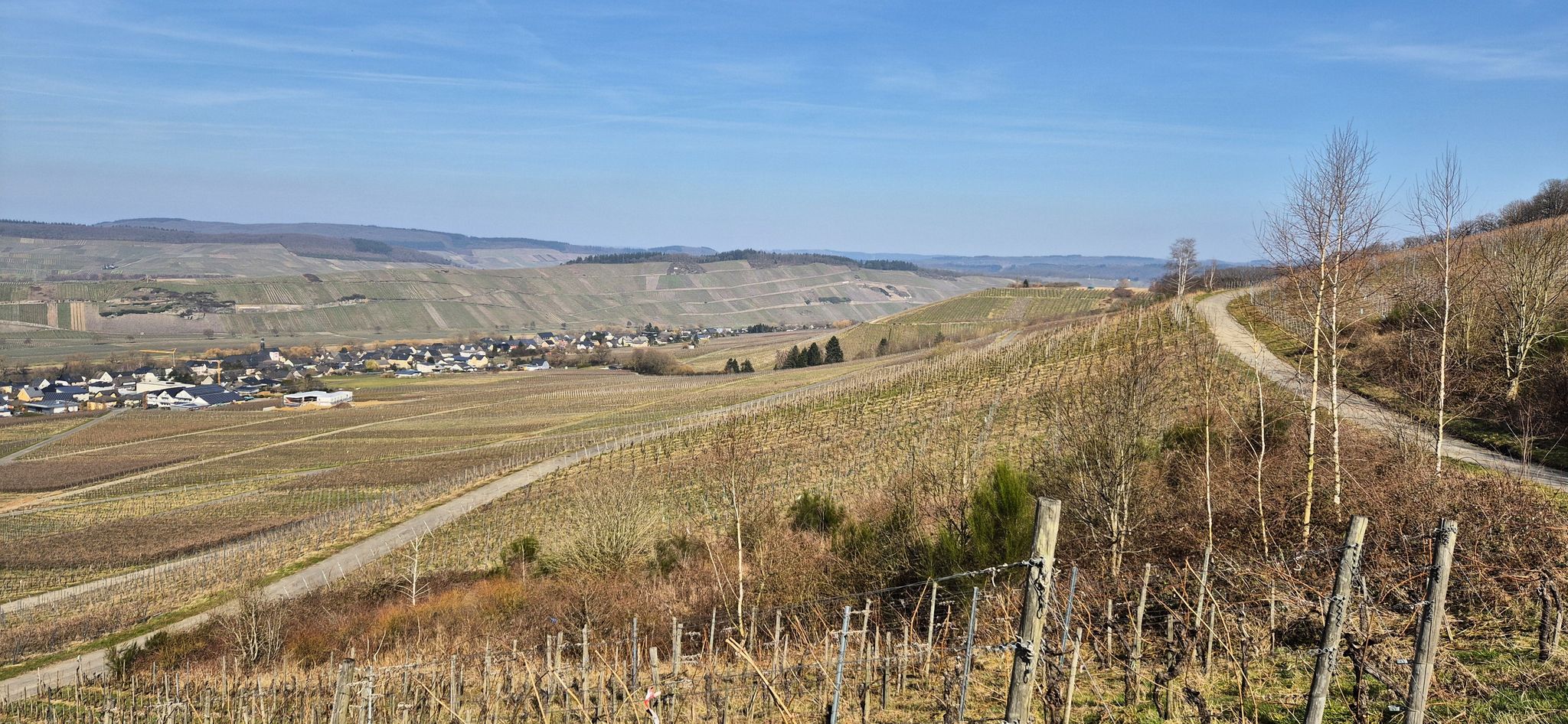 Blick zurück auf Filsen und Brauneberg