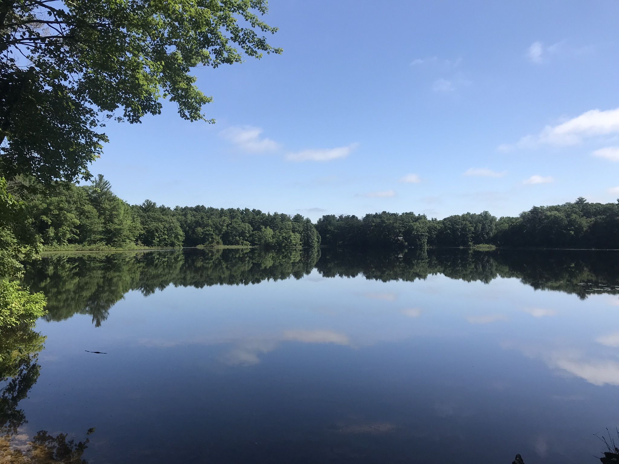 Calm lake reflecting green trees and blue sky on a bright day. - Pond Walk, Northwest, Split Rock, Granite Hills, and Pond Edge Trail