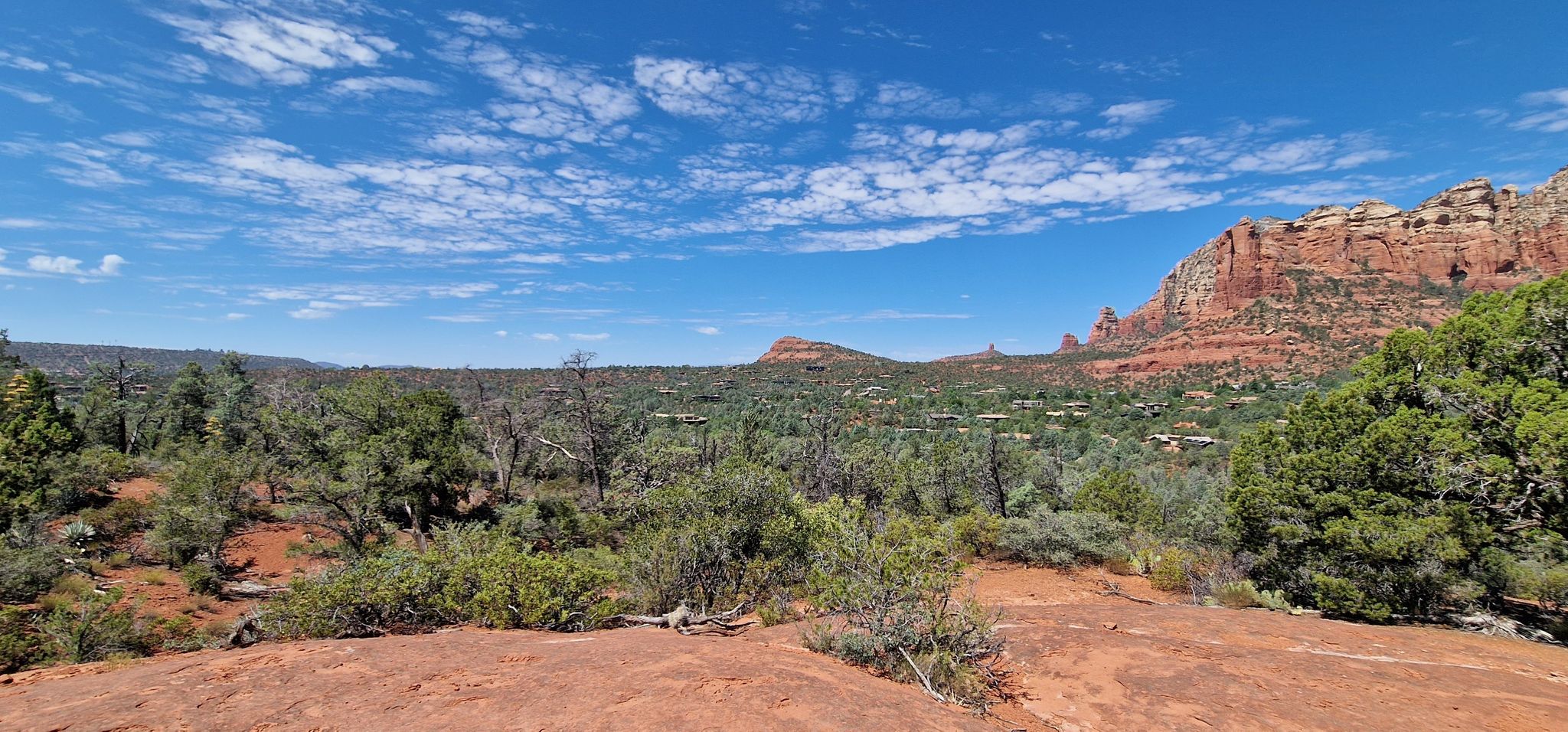 Wide view of red rock mesas and a green forest under a partly cloudy sky. - Grand Central, Ant Hill, and Adobe Jack Loop