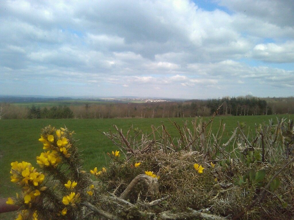 view downhill