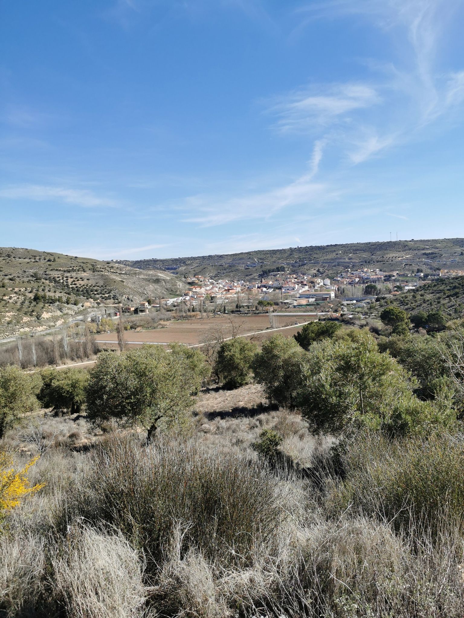 Perales de Tajuña