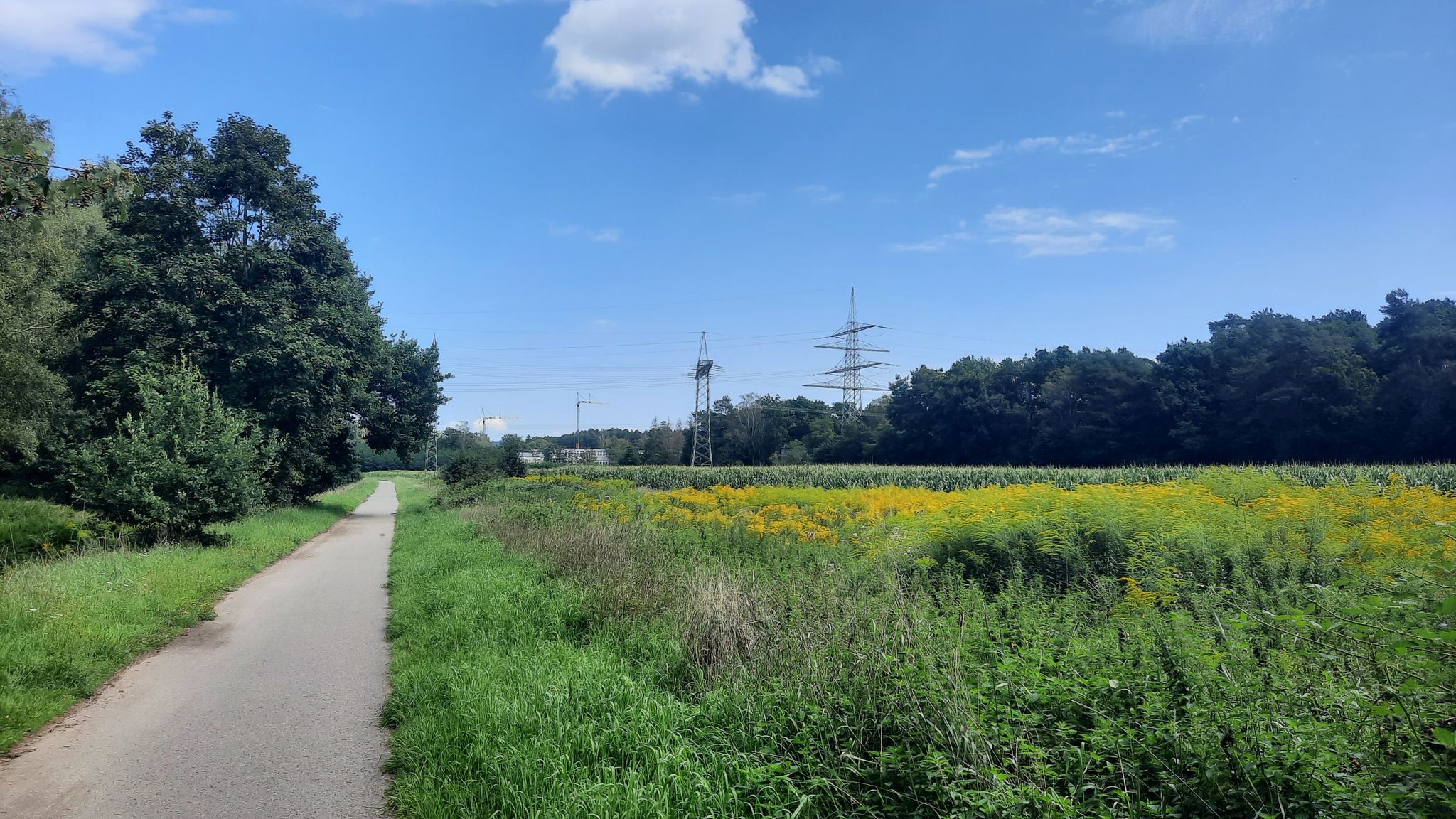 Radweg bei Beeden