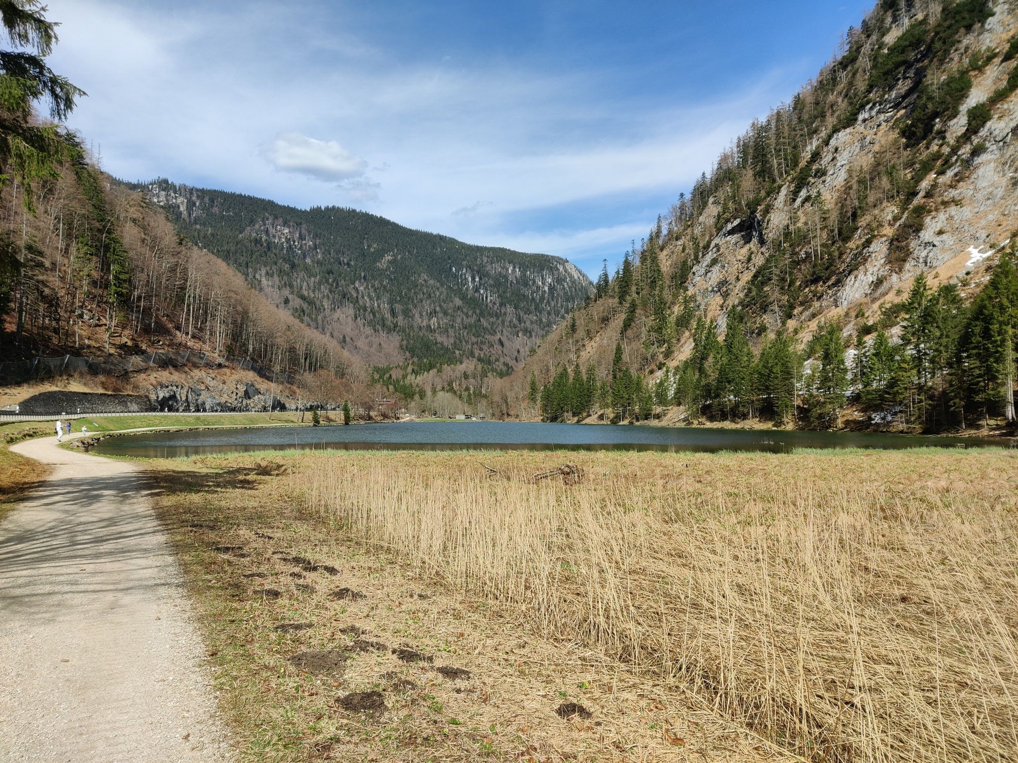 Förchensee