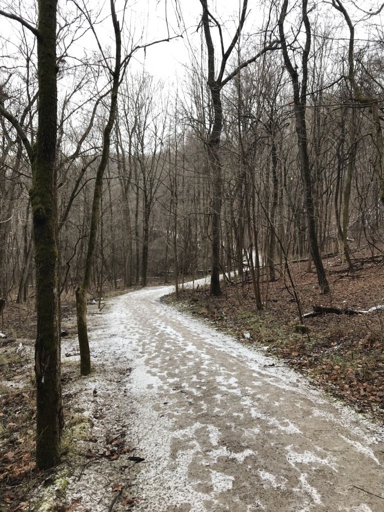 Winding snowy path through a bare winter forest on an overcast day. - Homesite, Meadows, and Ridge Trail Loop