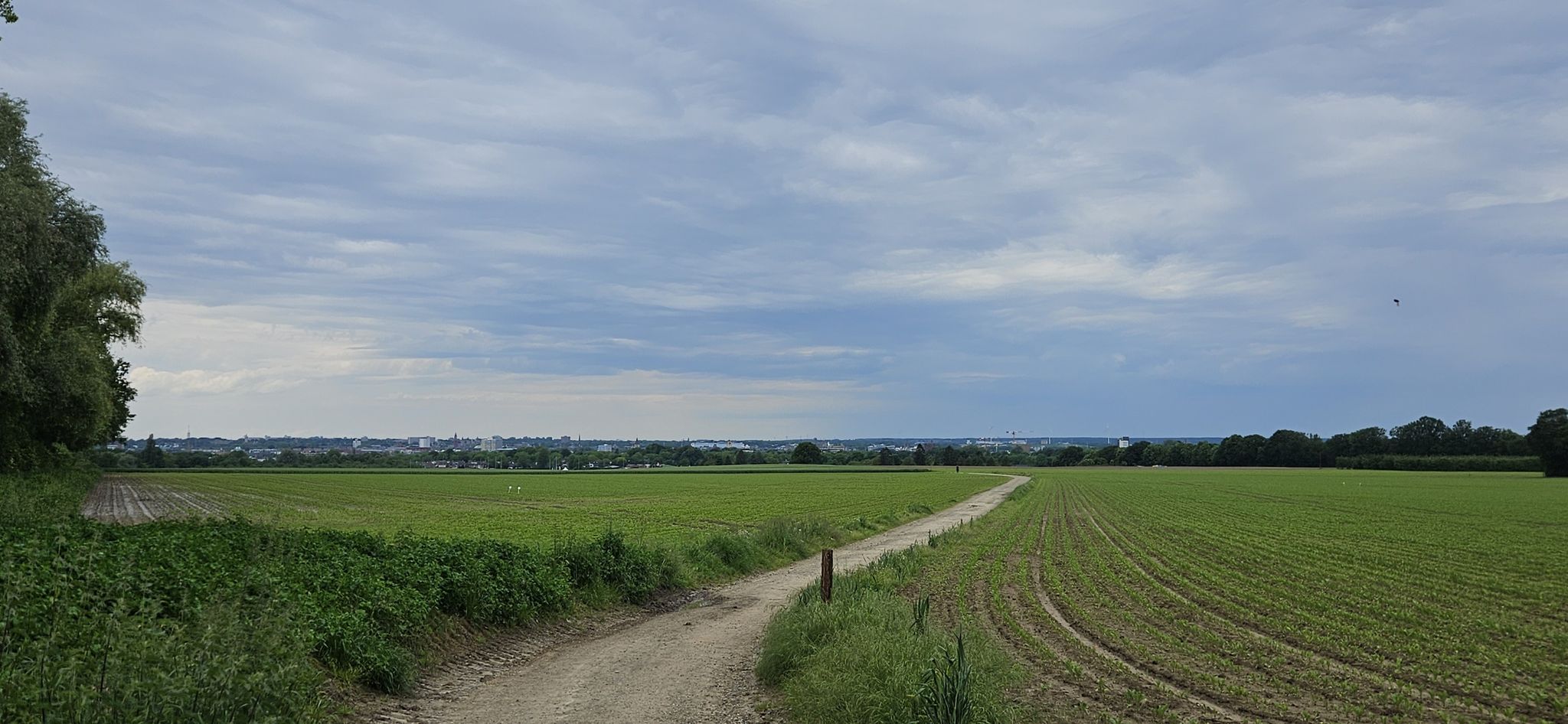 Esrter Blick auf Maastricht