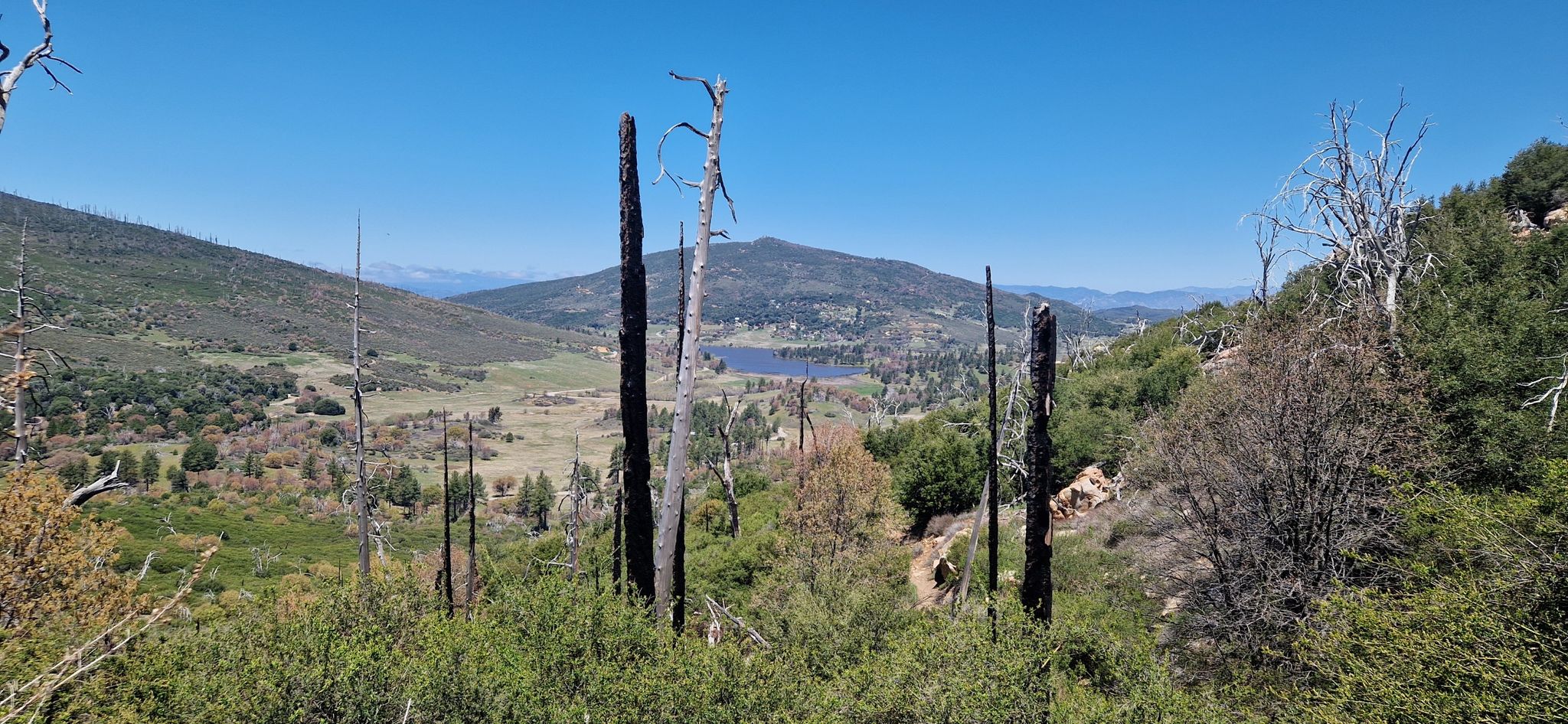 Panoramic view of a valley with a lake, mountains, and dead trees. - Stonewall Peak via Cold Stream and Stonewall Creek Loop