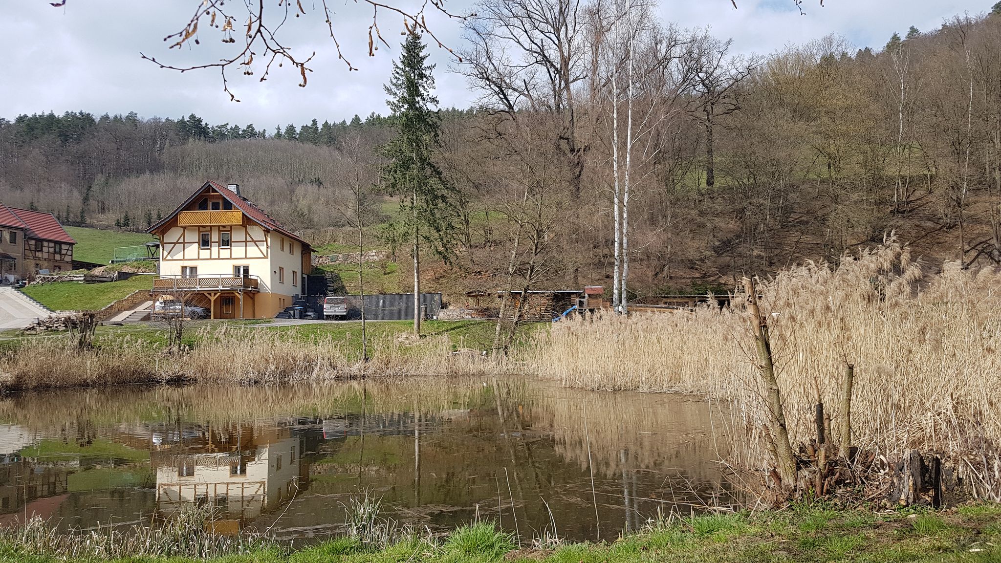 Teich in Langendembach