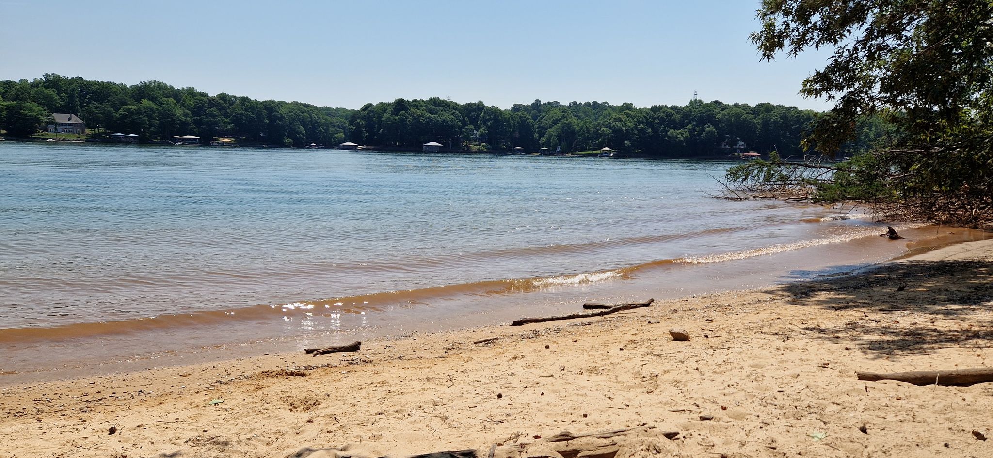 Sandy beach with gentle waves, driftwood, and distant treeline on a sunny day. - Lake Shore Trail Loop