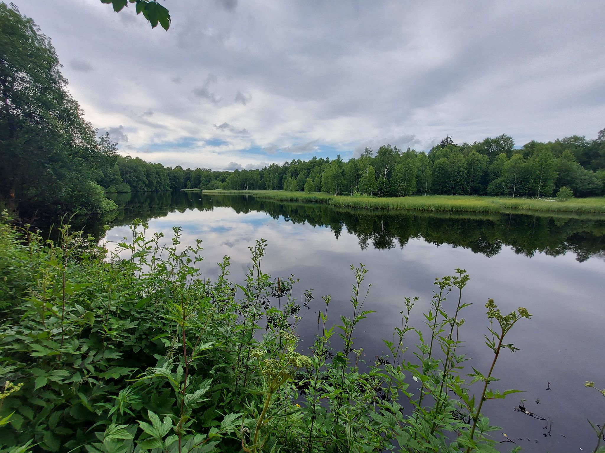 Rotes Moor
