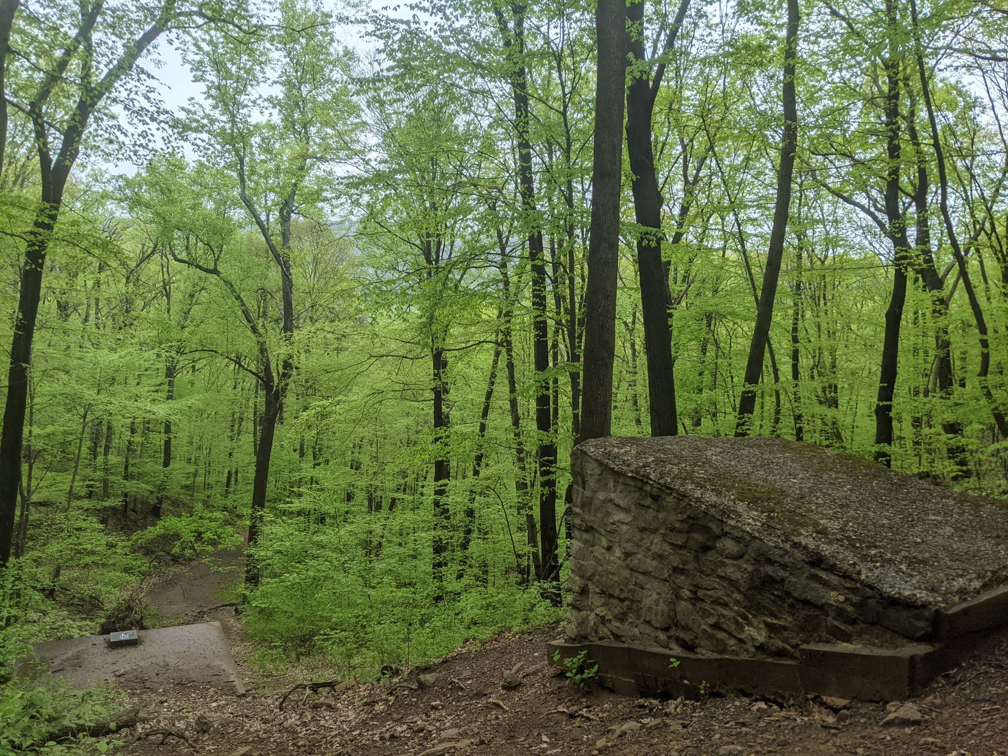 A vibrant green forest with a stone structure in the foreground under overcast light. - Flat Rock Loop Trail