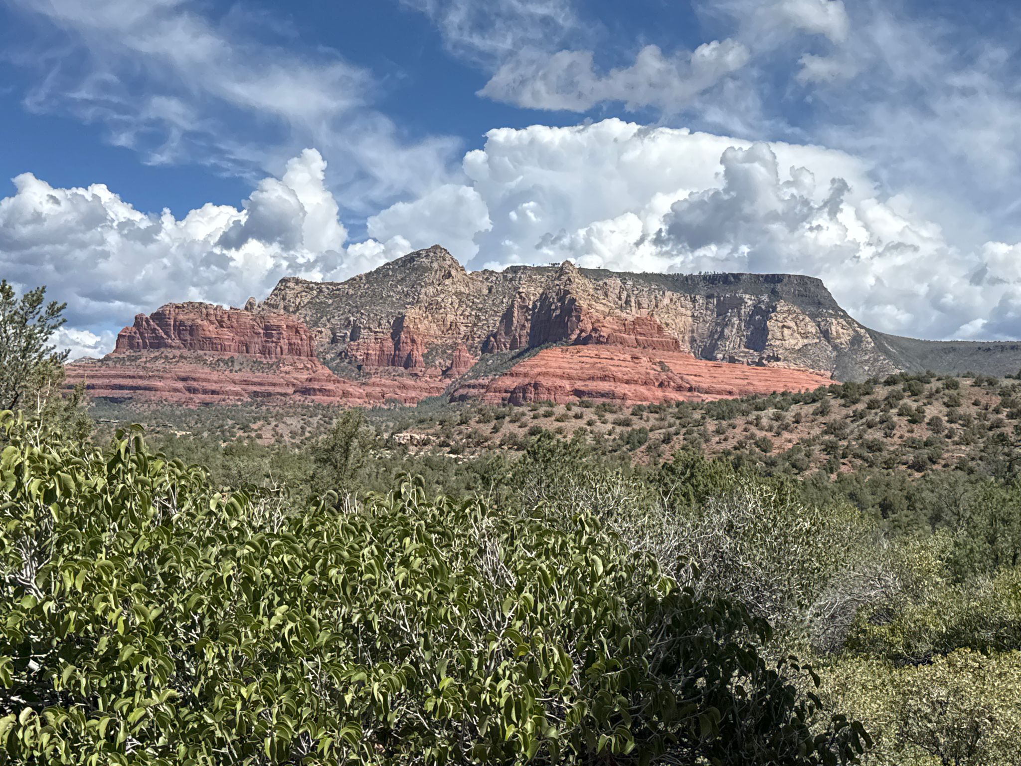 Red rock mountains under a cloudy sky, seen through green bushes. - Huckaby – MTB Trails in Sedona