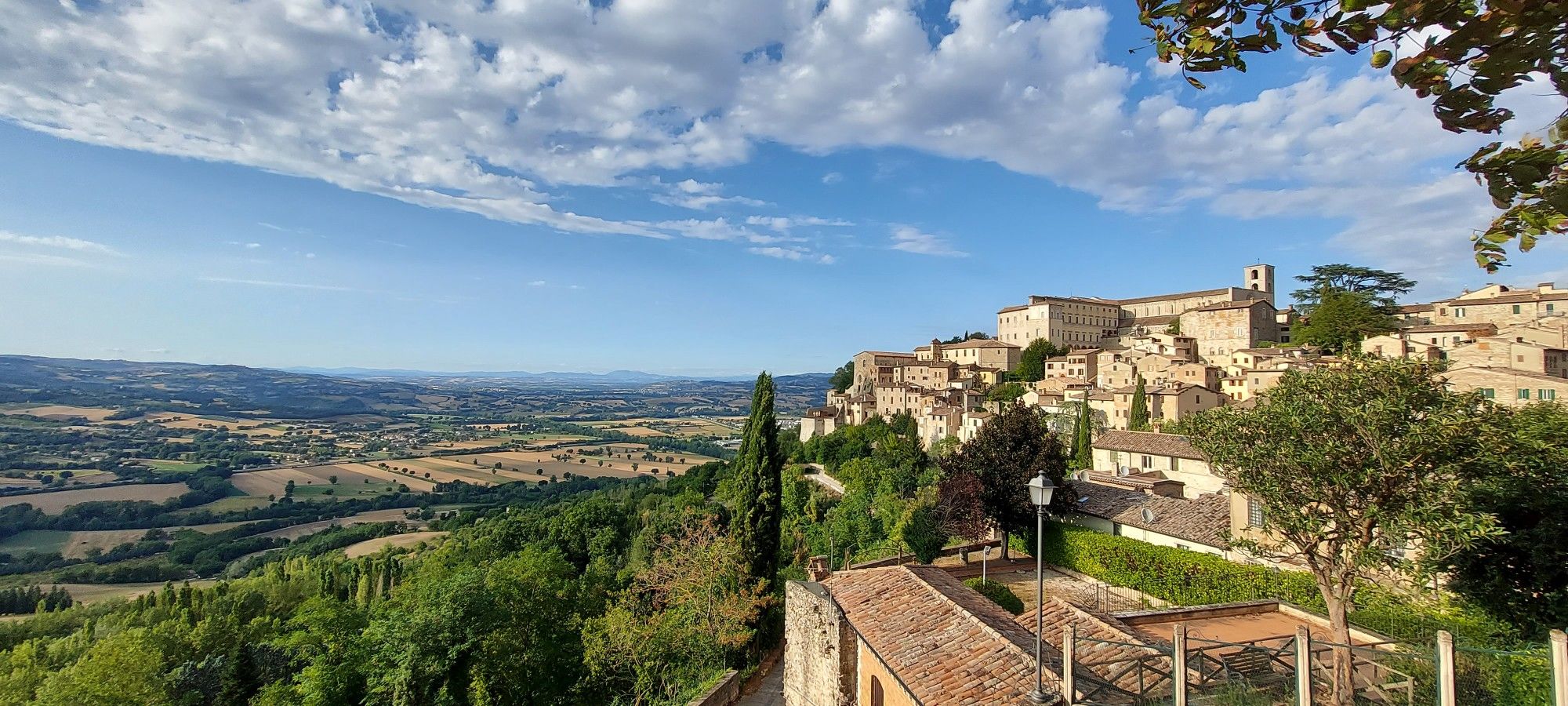 Todi3