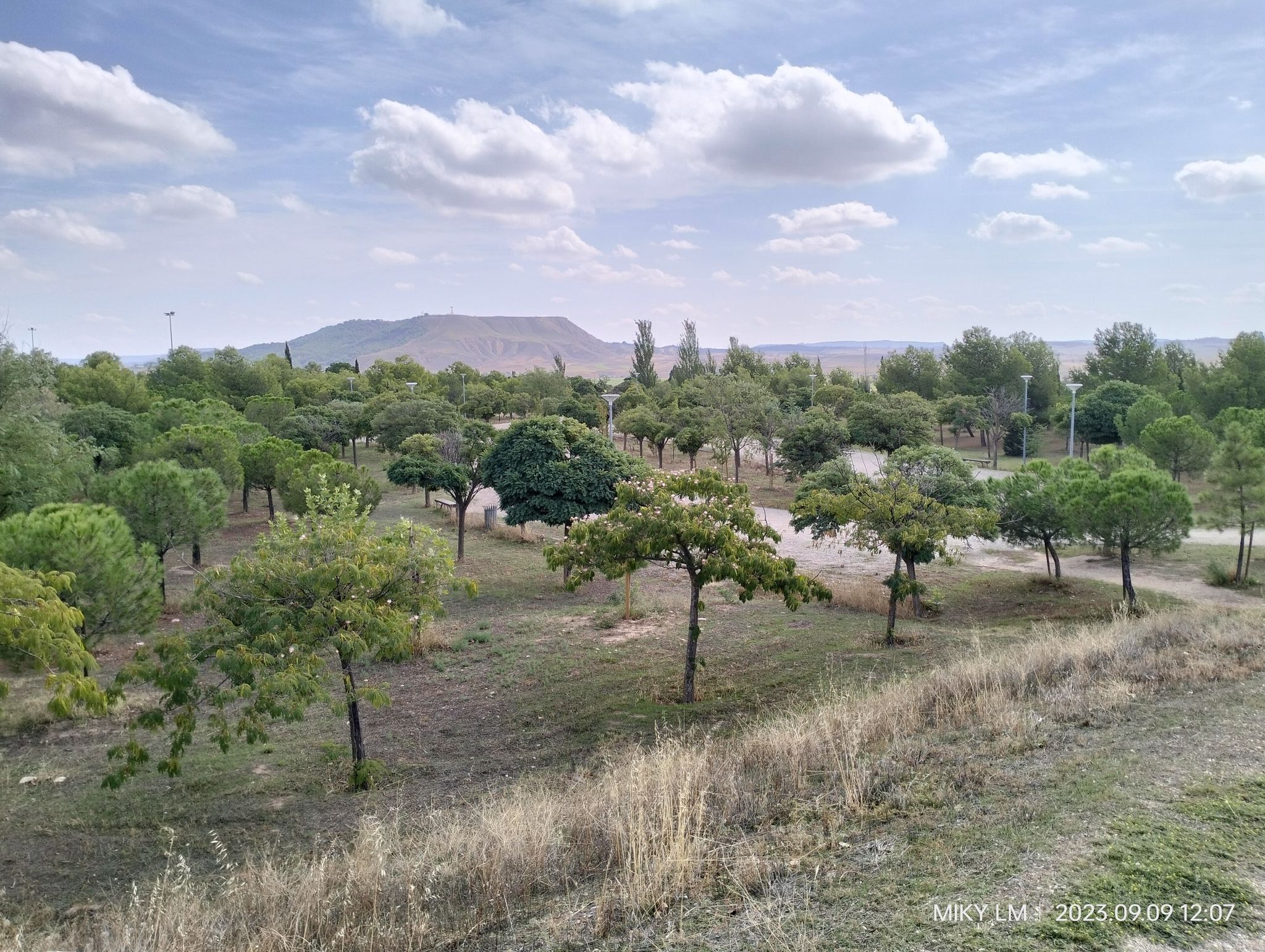Parque de los Miradores/Parque de la Milagrosa