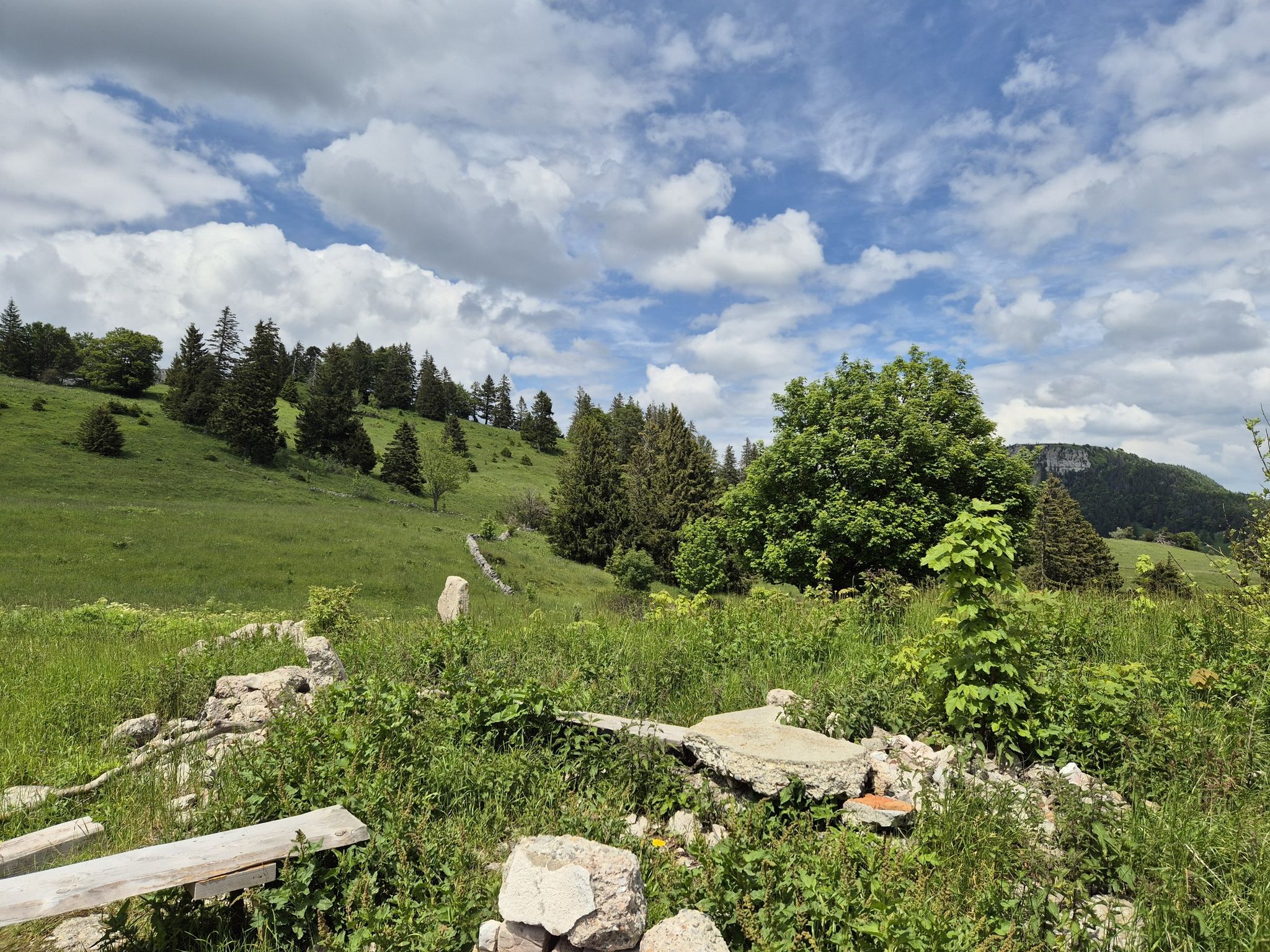 Bettlachstock