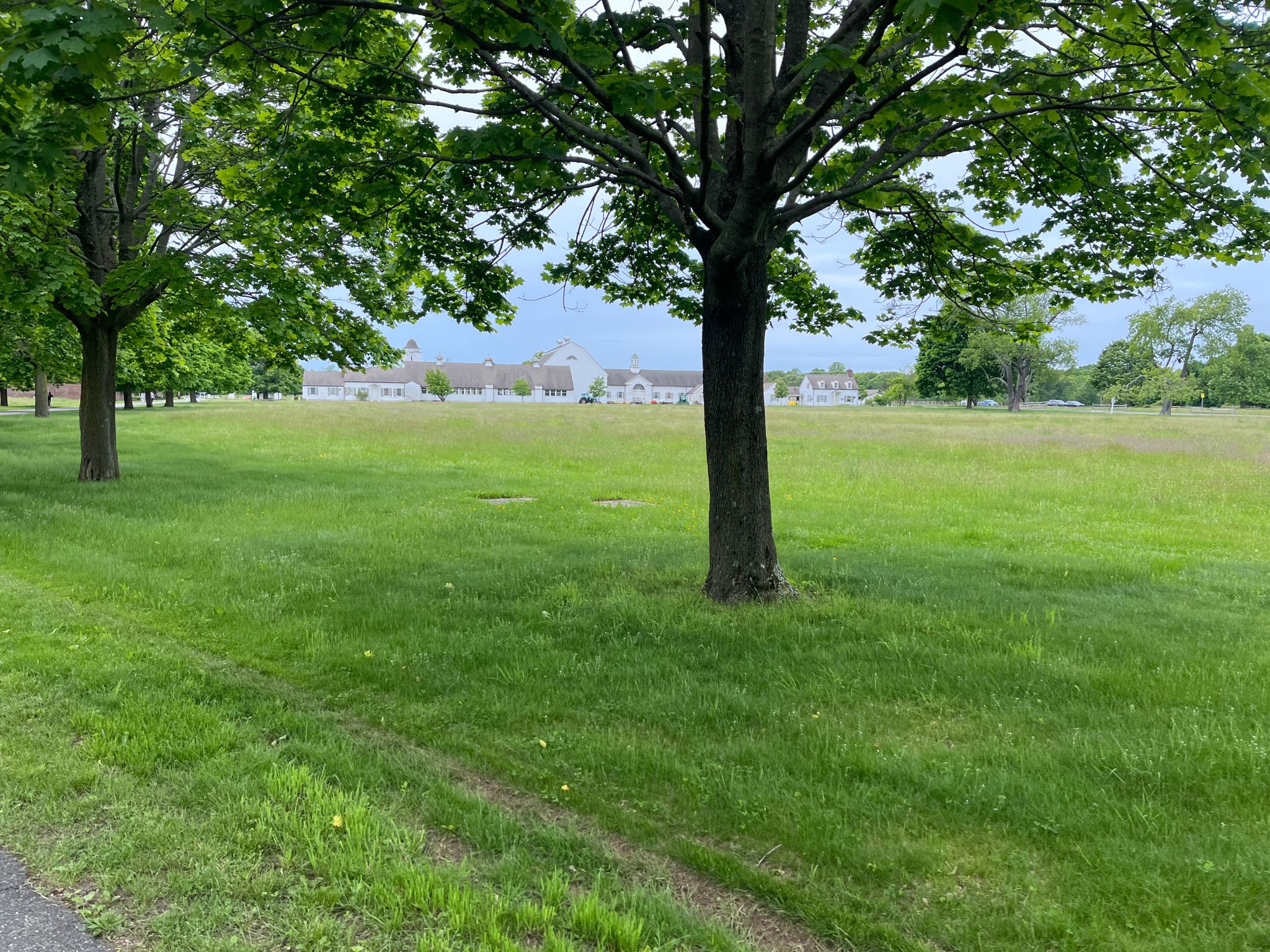 A wide green field with trees under an overcast sky, distant buildings. - Caumsett Manor loop via Main Drive
