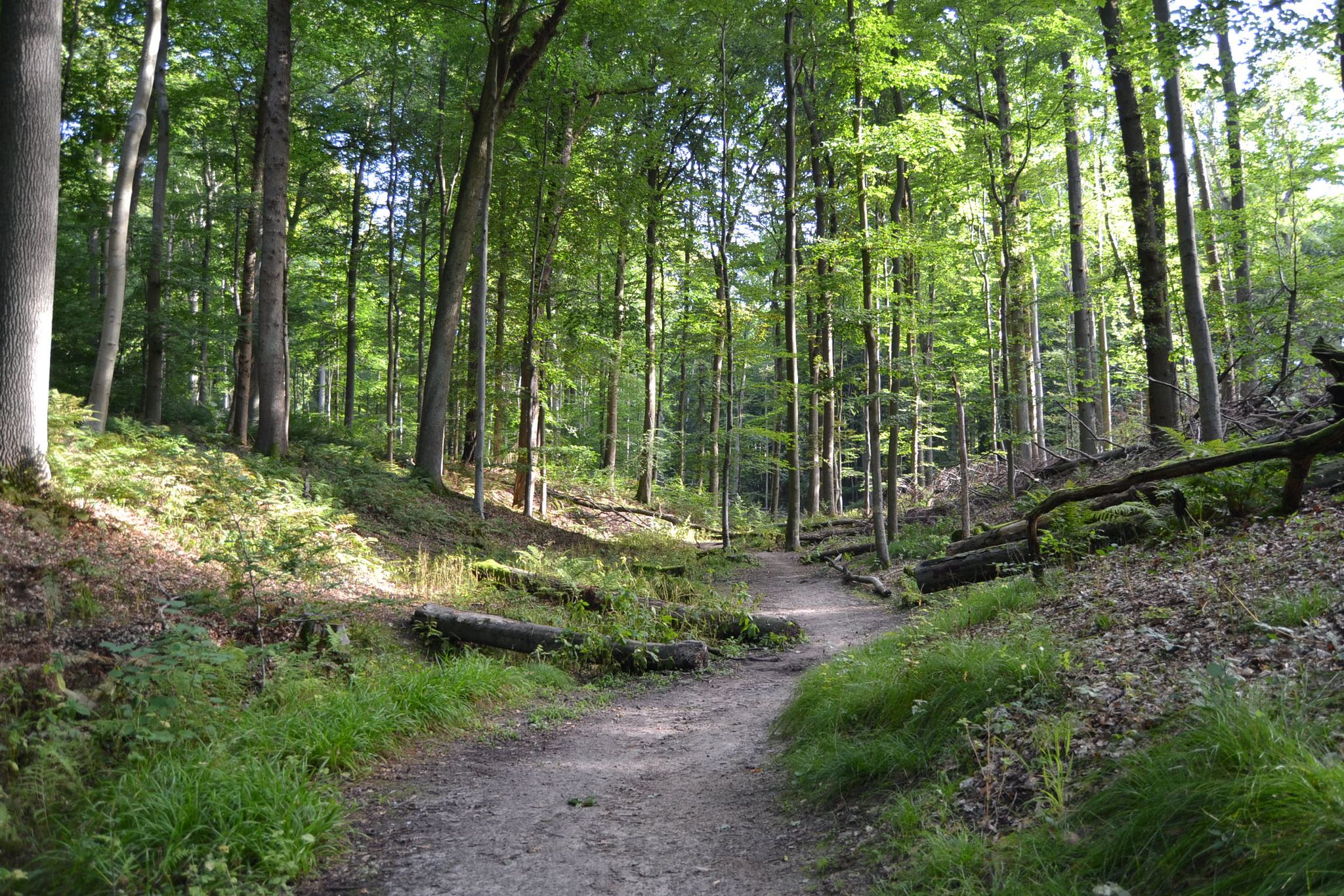 Eikendalvoetweg