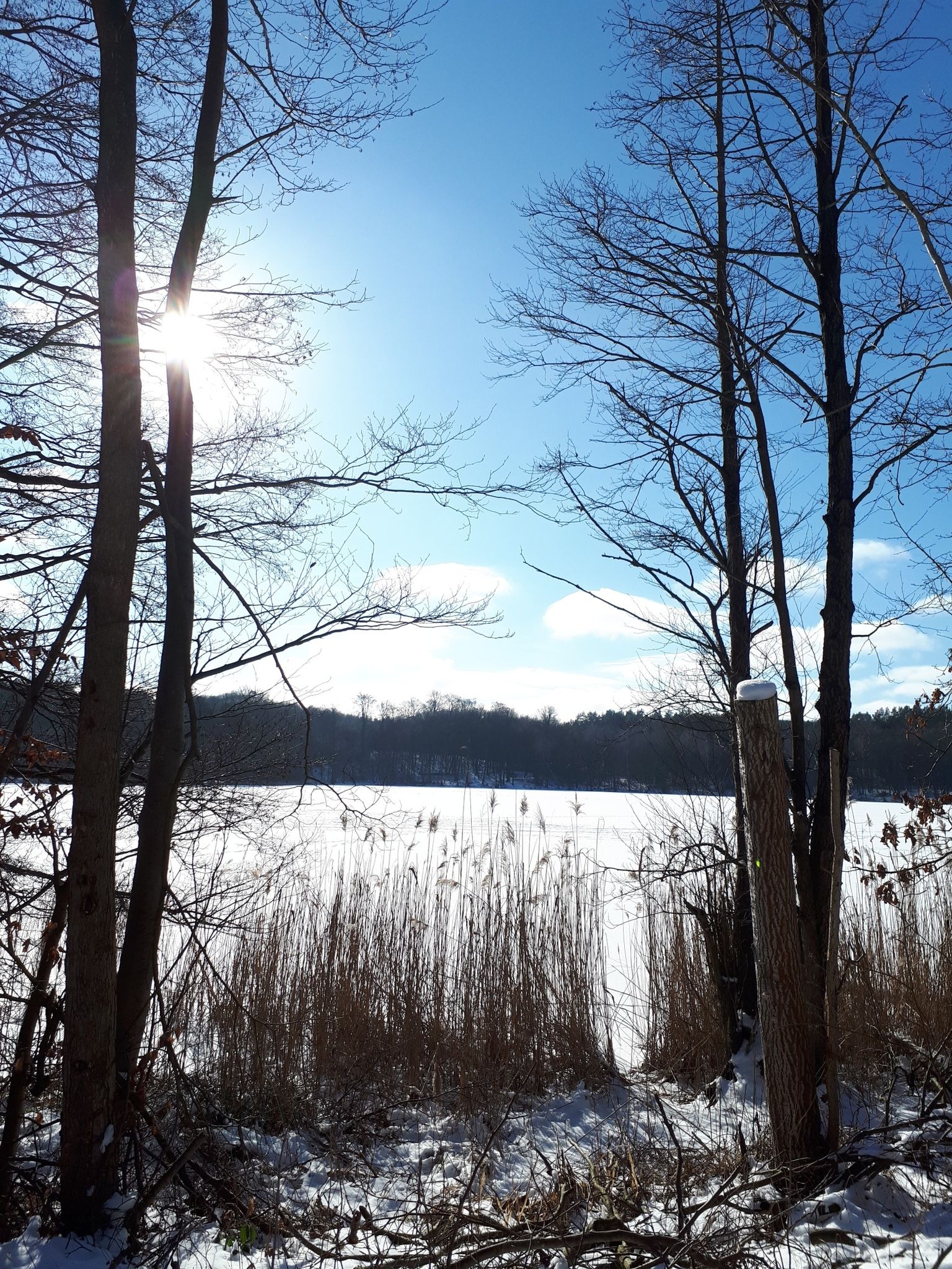 Krebssee