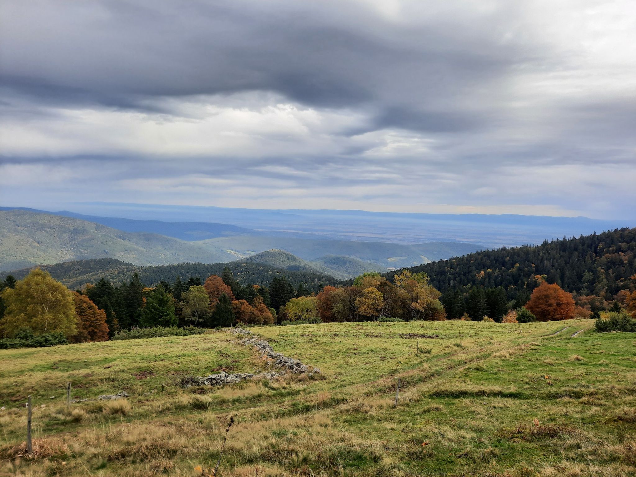 Blick in die Rheintalebene