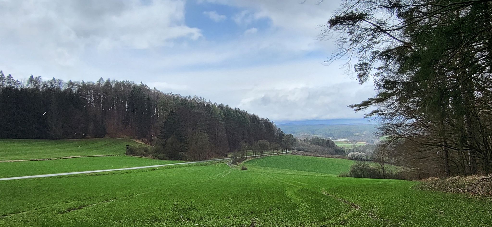 Weitblick