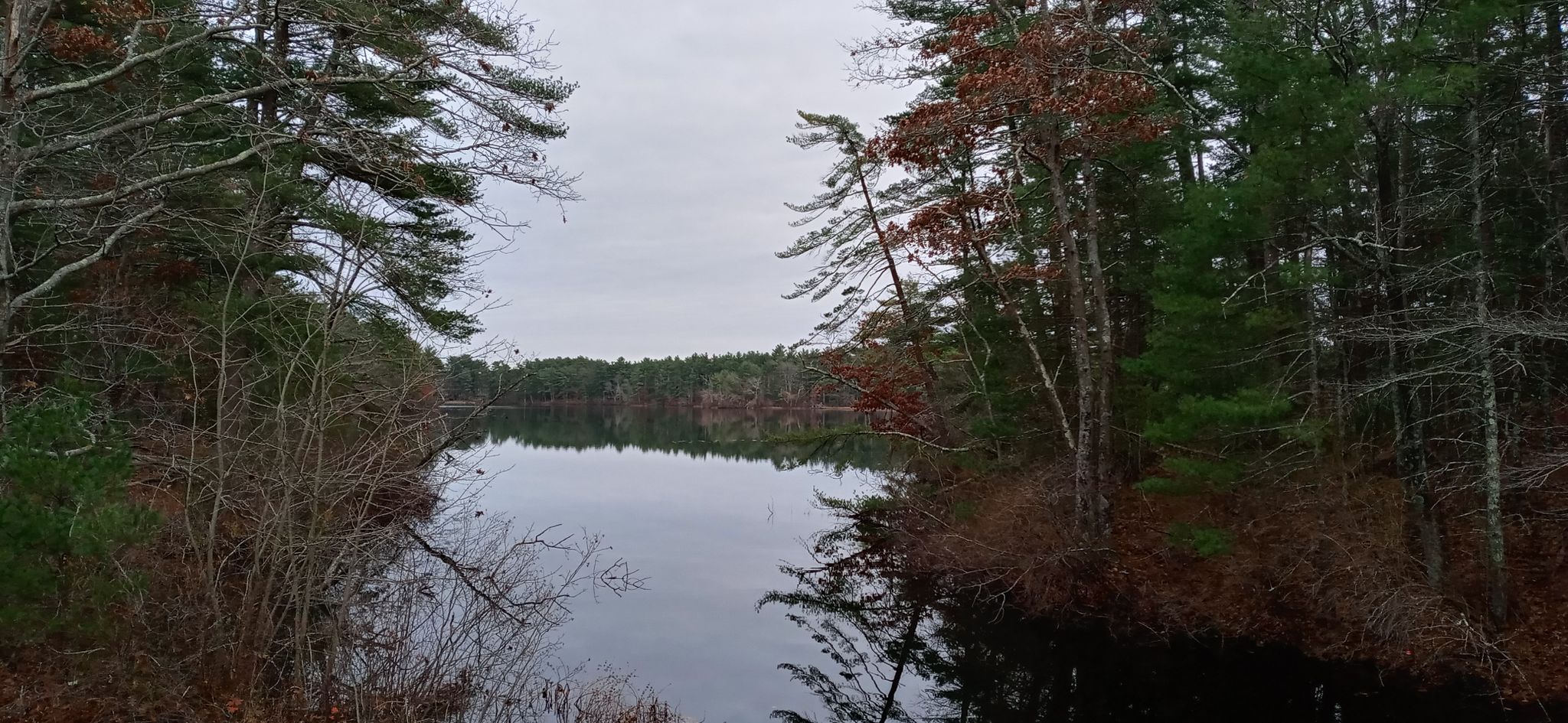 Narrow lake channel framed by dense trees under an overcast sky. - Massasoit Park – Massasoit Sate Park loop from Massasoit State Park