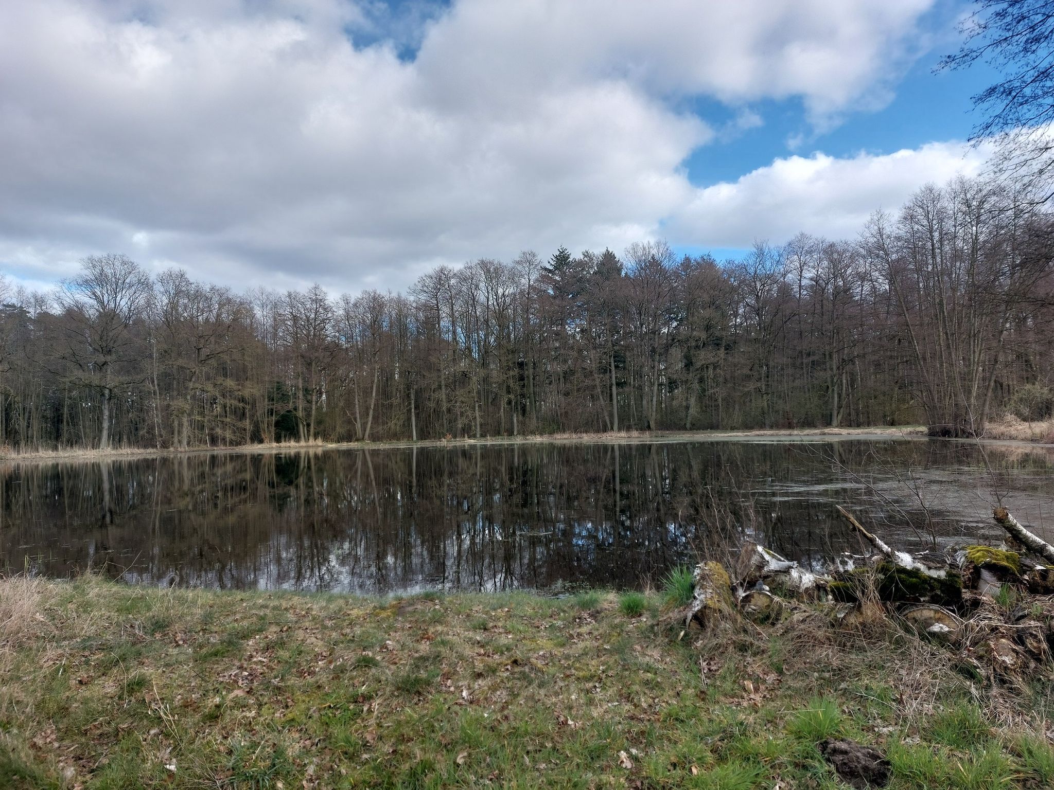 Teiche bei Retzin