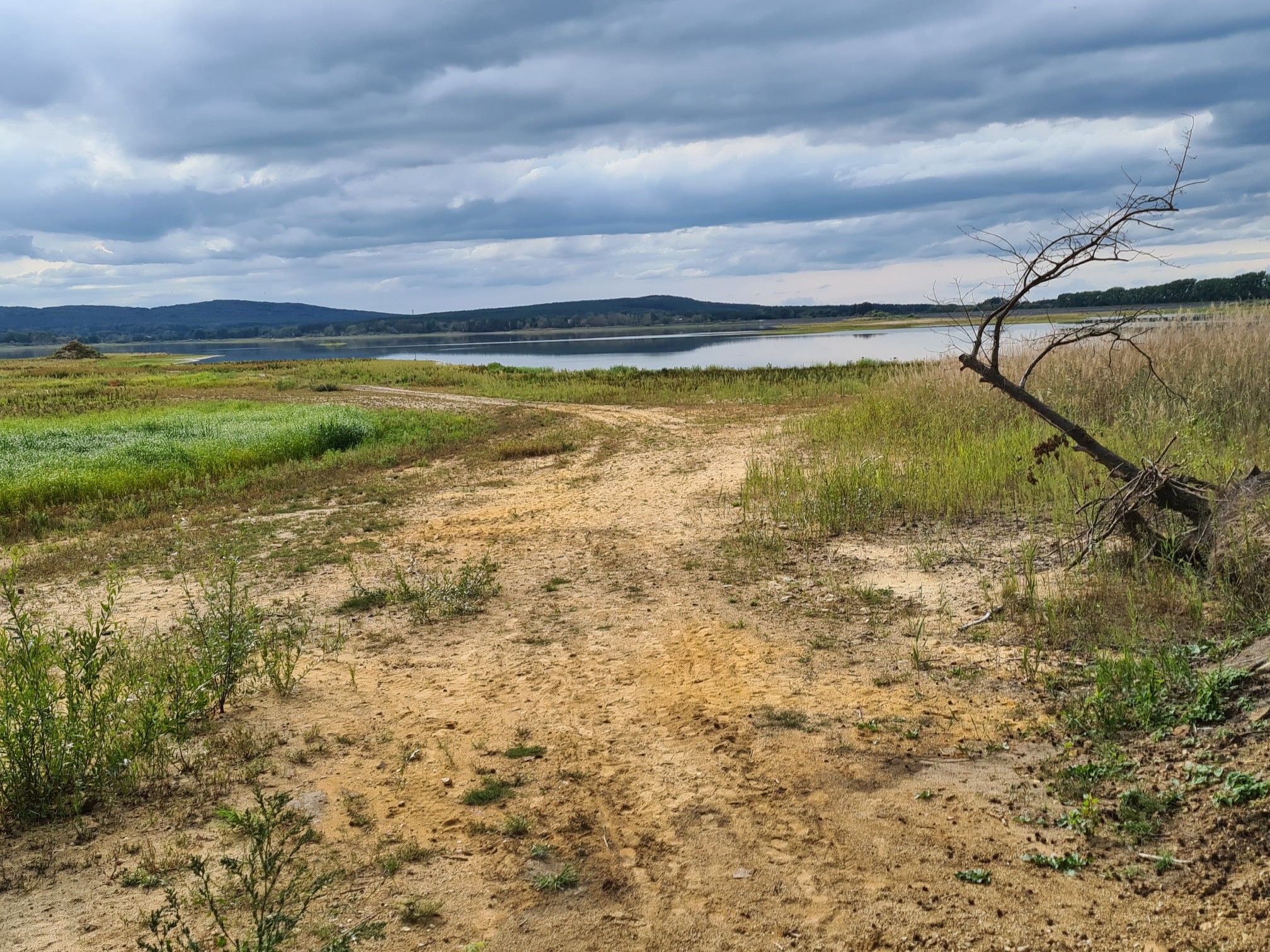 Quitzdorfer Stausee mit Niedrigwasser