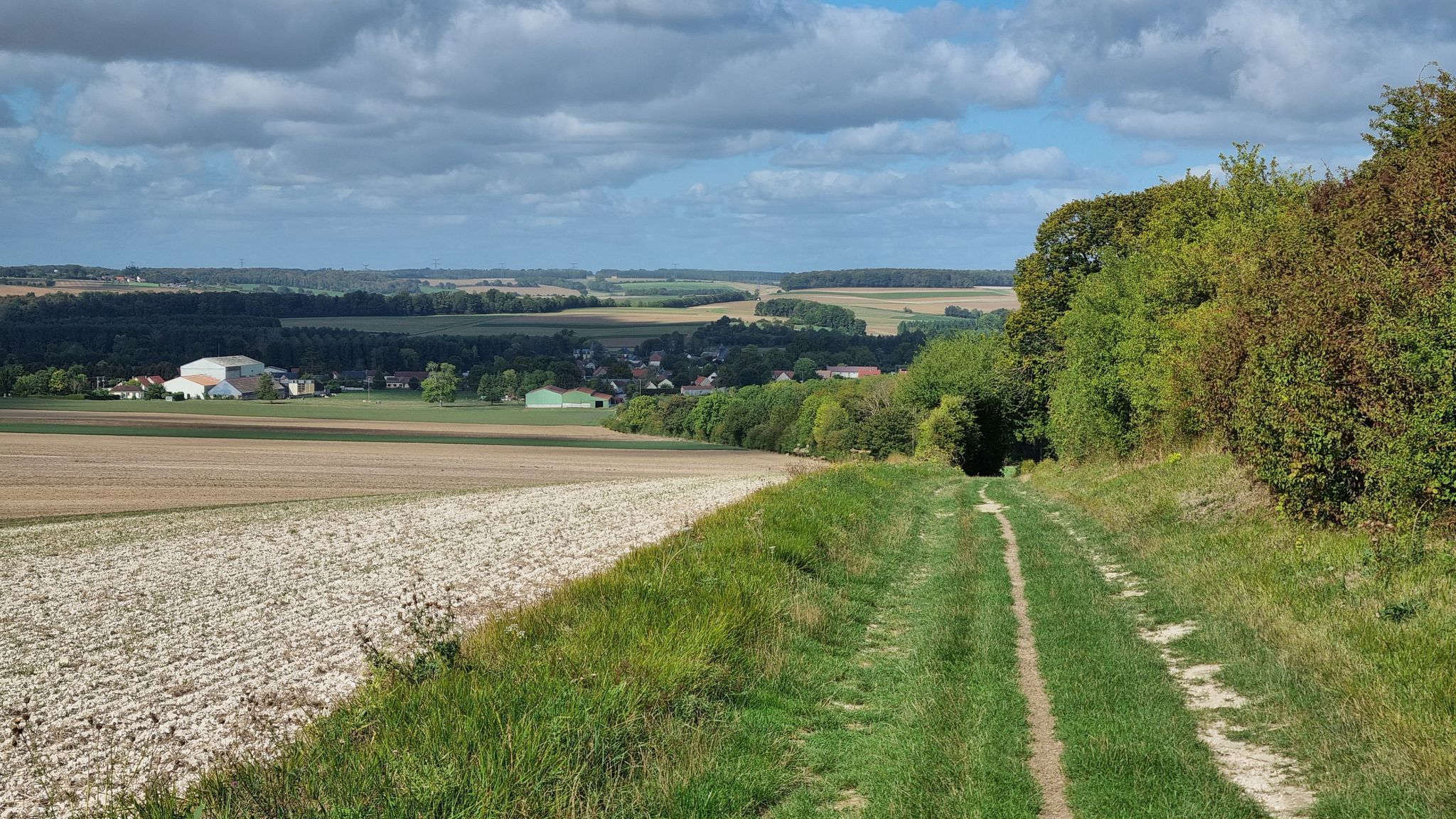 Beau chemin descendant vers Béhencourt / Beautiful path descending towards Béhencourt