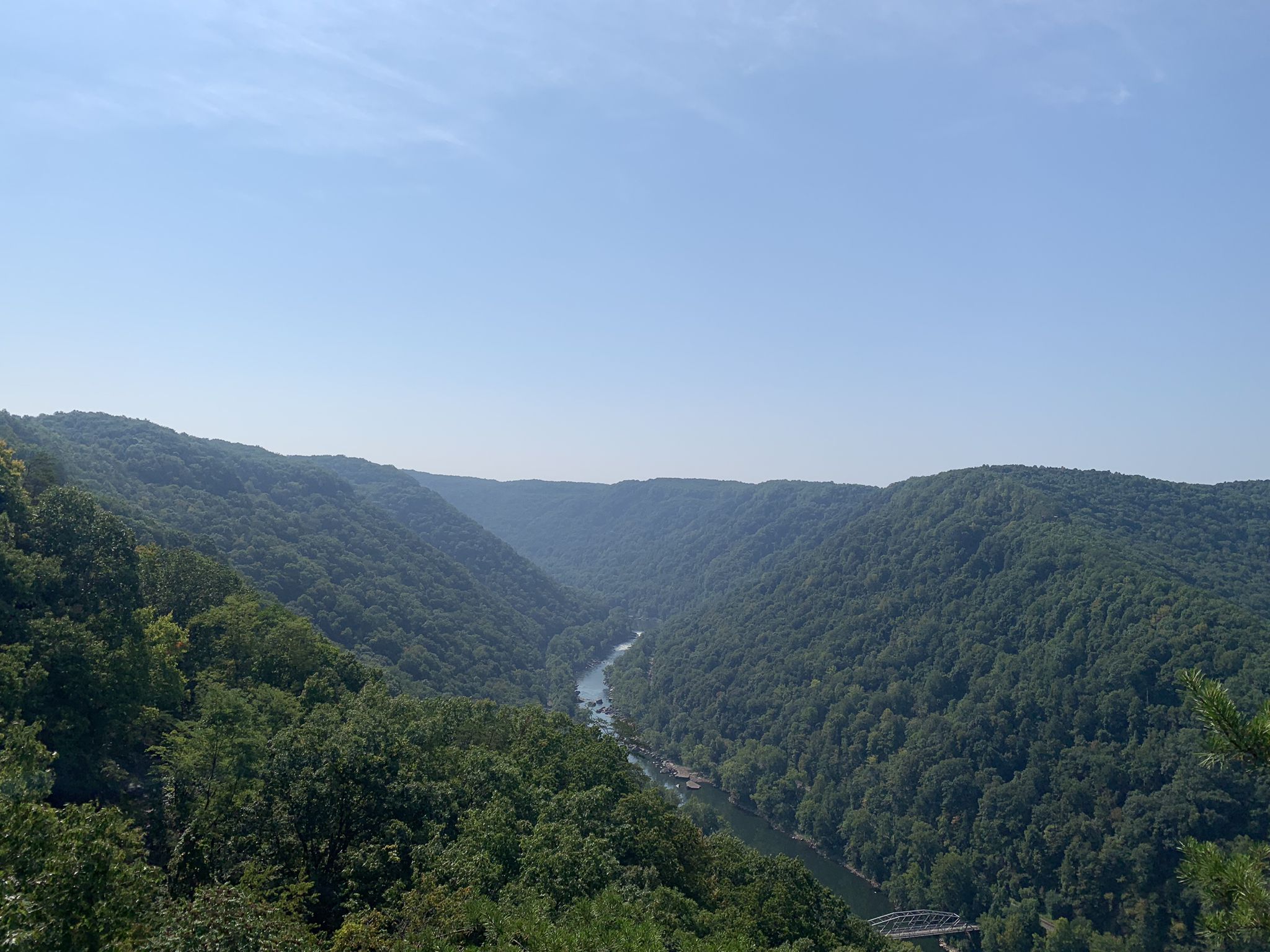 A winding river flows through a deep, green forested valley under a clear sky. - Canyon Rim Boardwalk