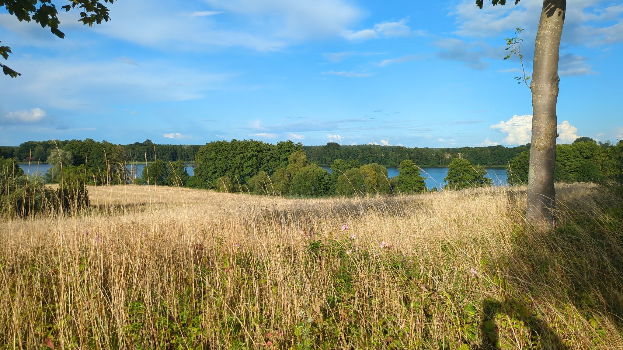 Groß Poserin