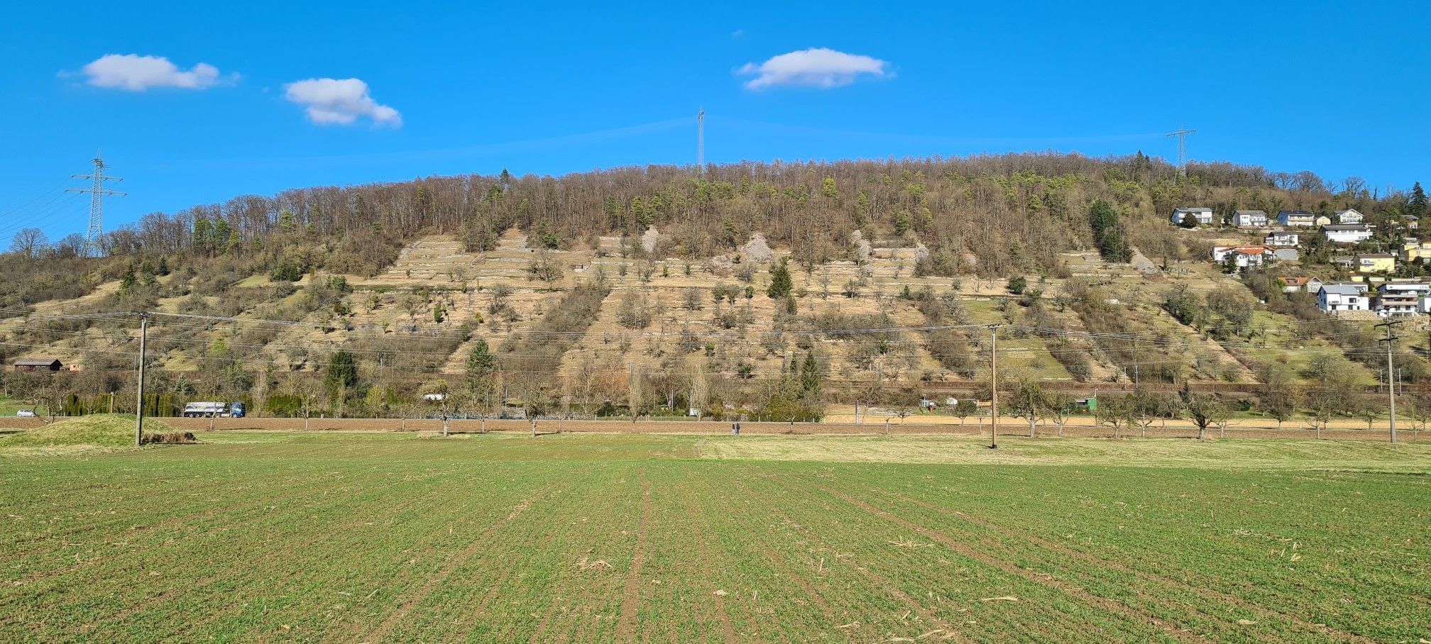 Das Naturschutzgebiet Auweinberge