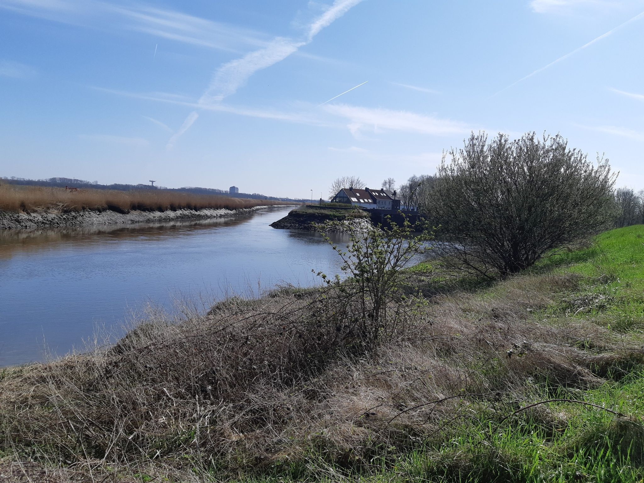 zennegat 