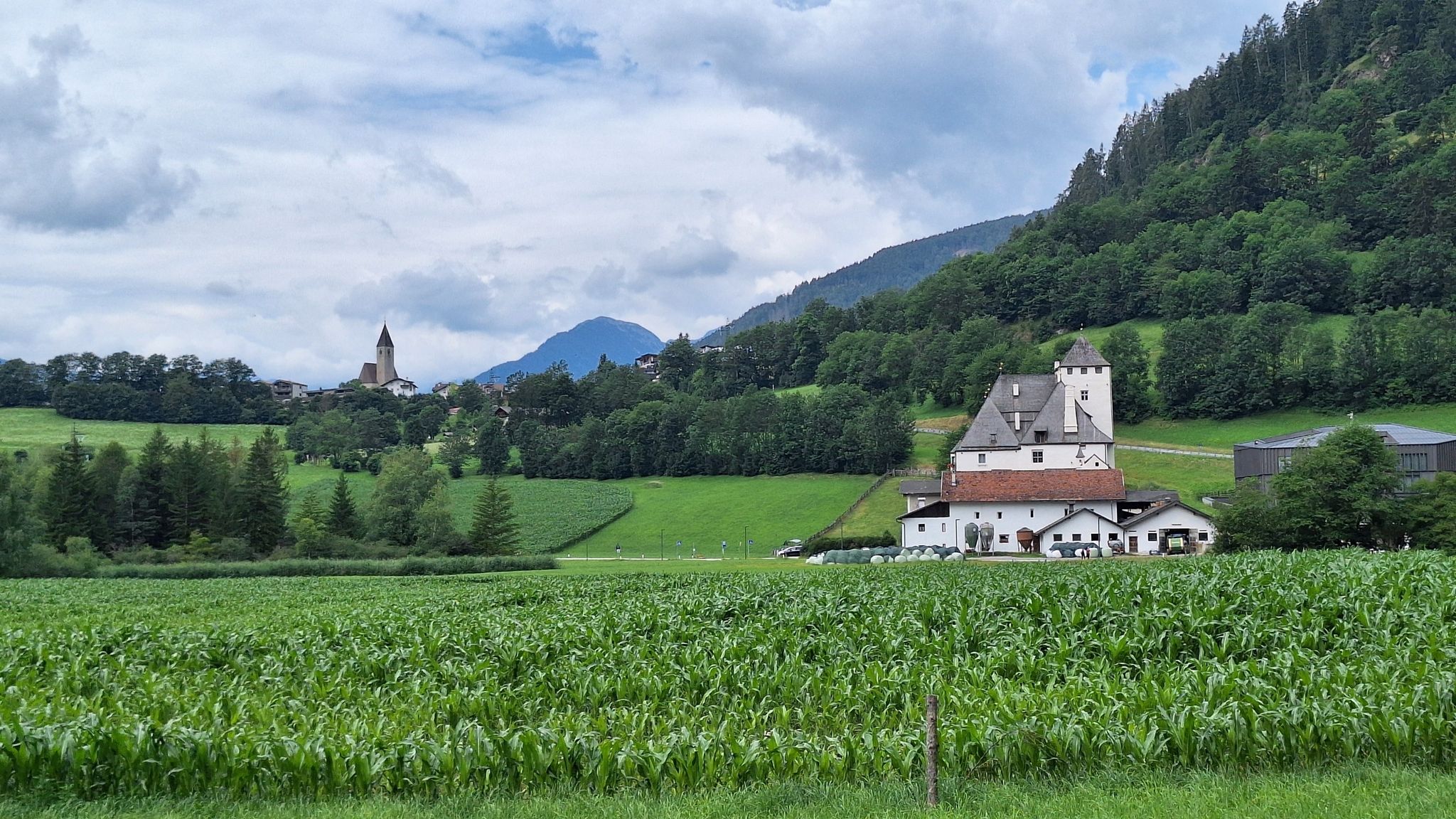 Schloss Moos in Flains
