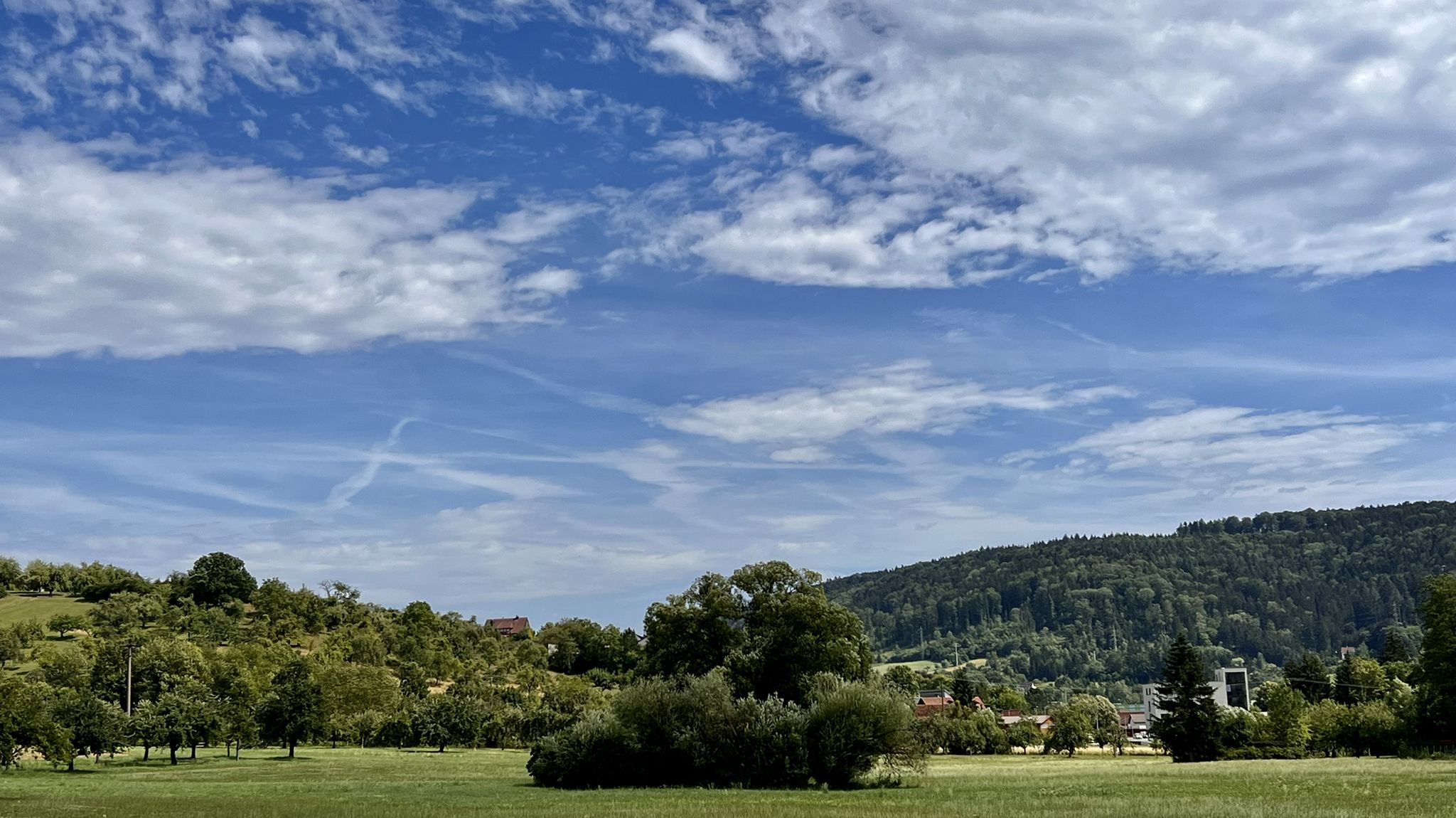 durch das Fischbachtal sind Ö&Ö zum Bahnhof 🚉 gelaufen