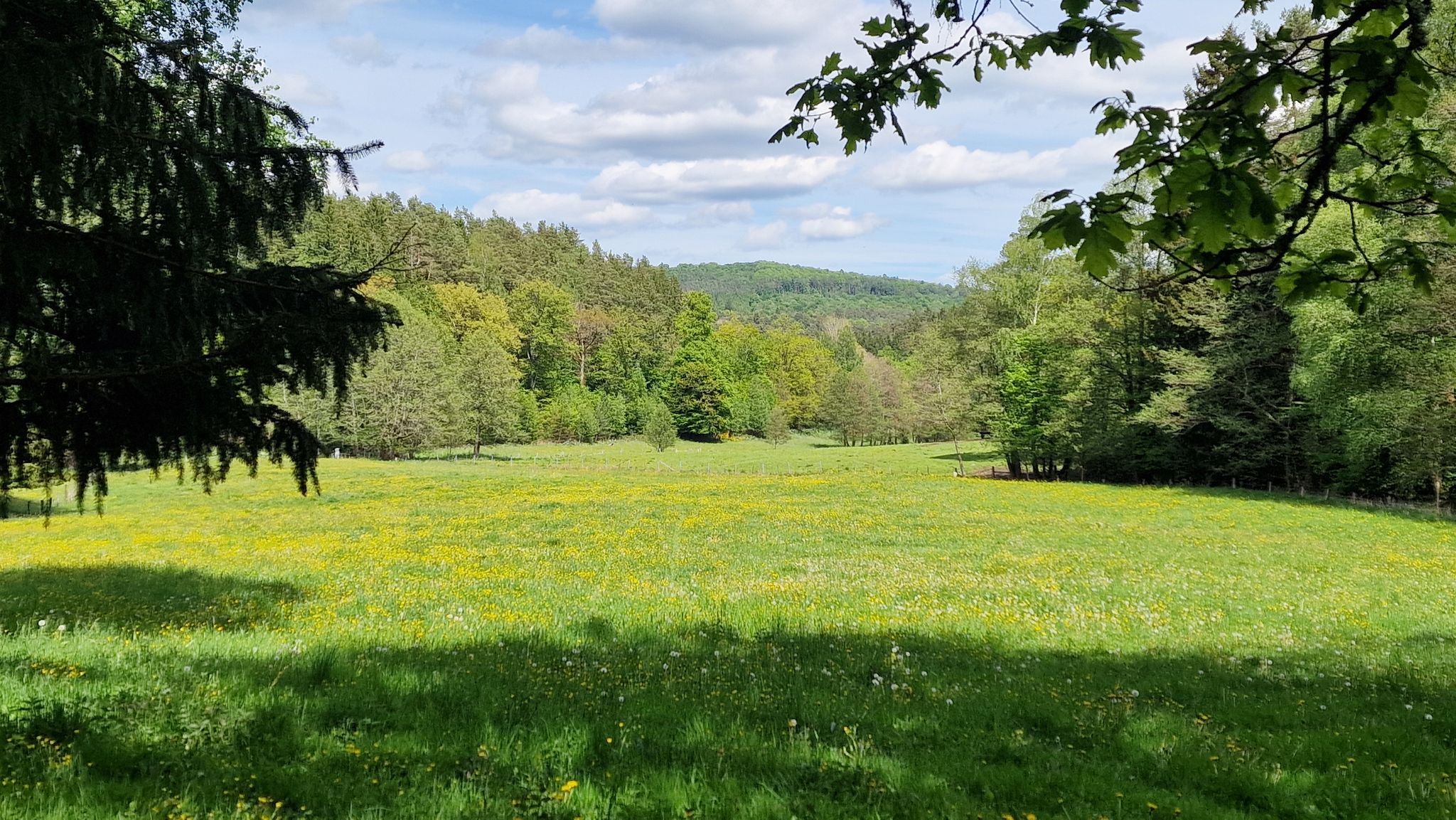 Im Tal der kalten Lüder