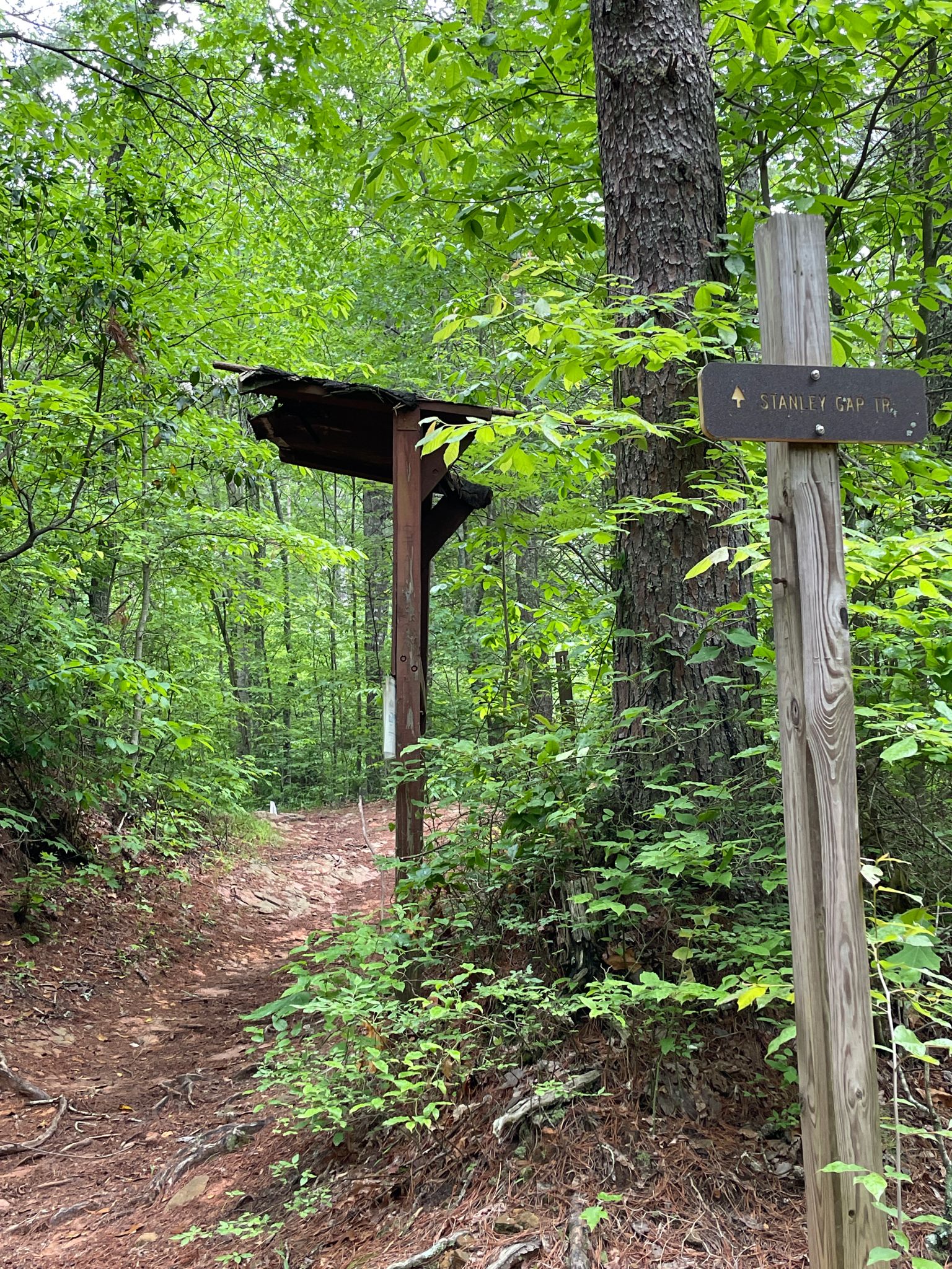 Wooden trail sign and shelter in a lush green forest, bright light. - Flat Creek Loop – Long Branch Loop Trail loop from Stanley Gap Parking Area