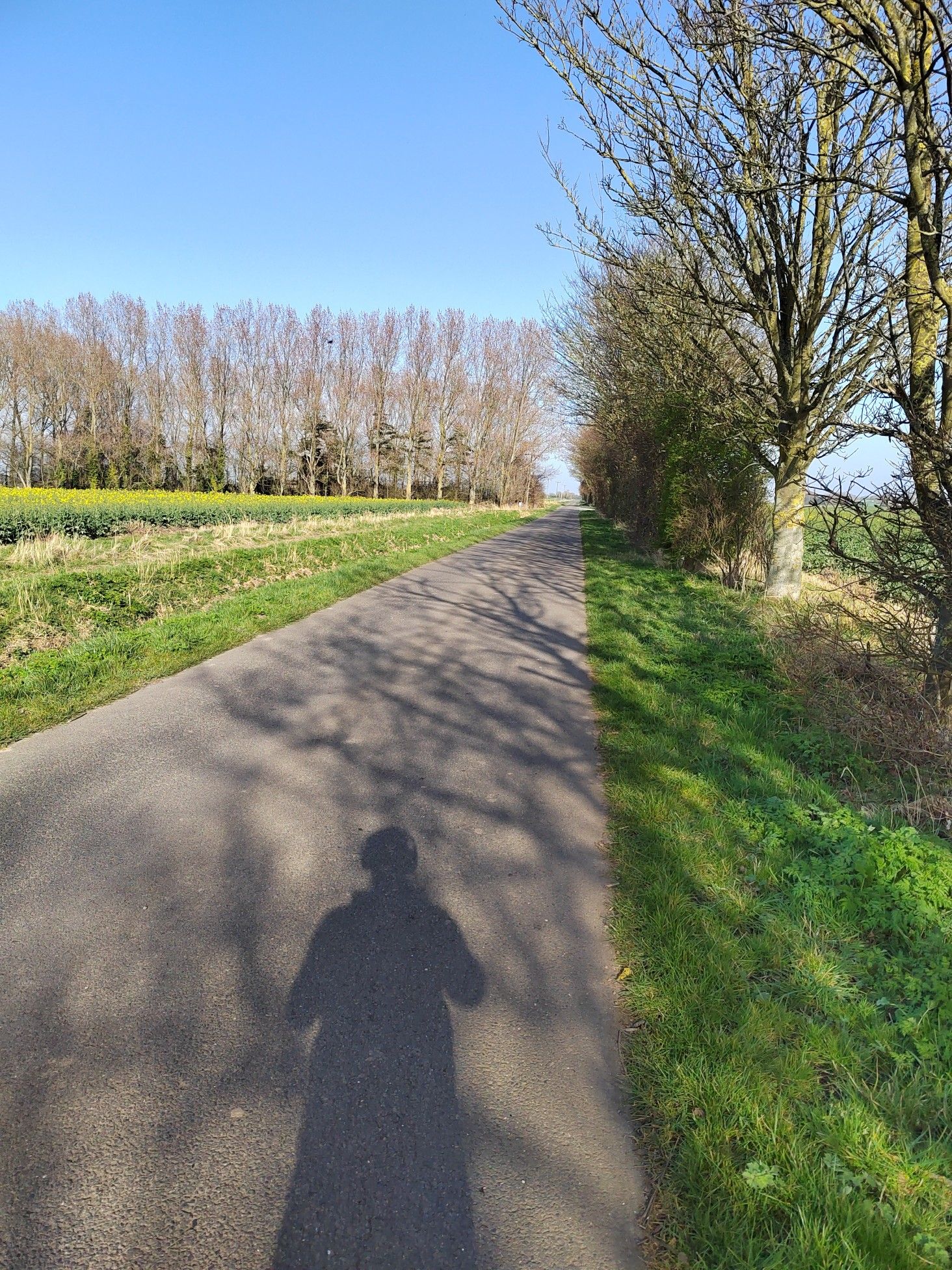 country roads
