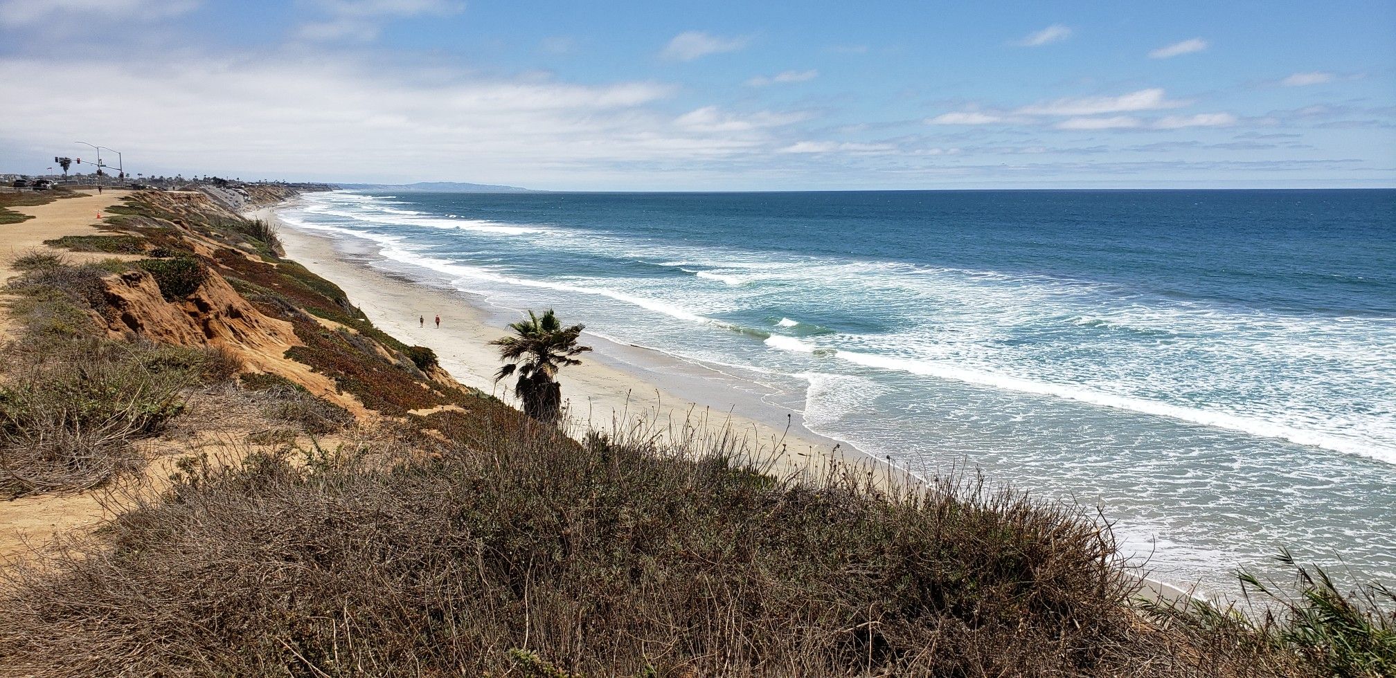 Bright day at a beach with blue ocean, white waves, and a single palm tree. - South Carlsbad State Beach – Buena Vista Lagoon Reserve loop from El Camino Real