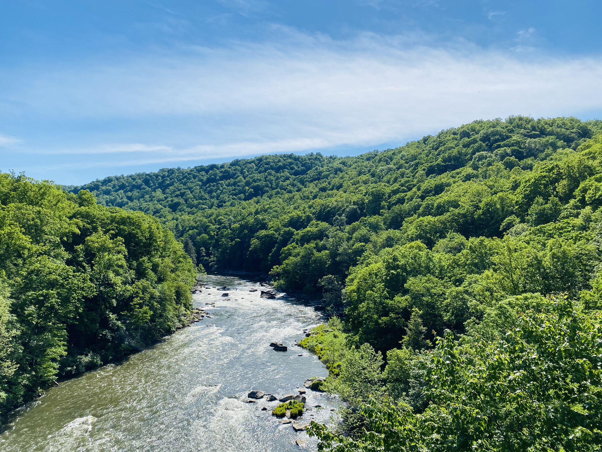River flowing through a lush green valley under a bright blue sky. - Great Allegheny Passage