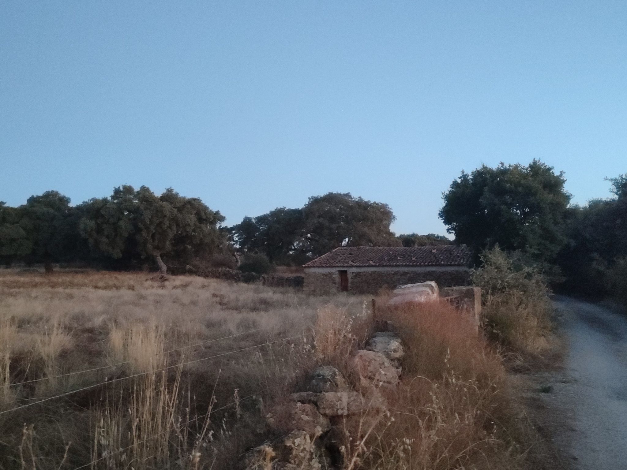 Camino de Salvatierra, con Cancho Lorenzo al fondo.