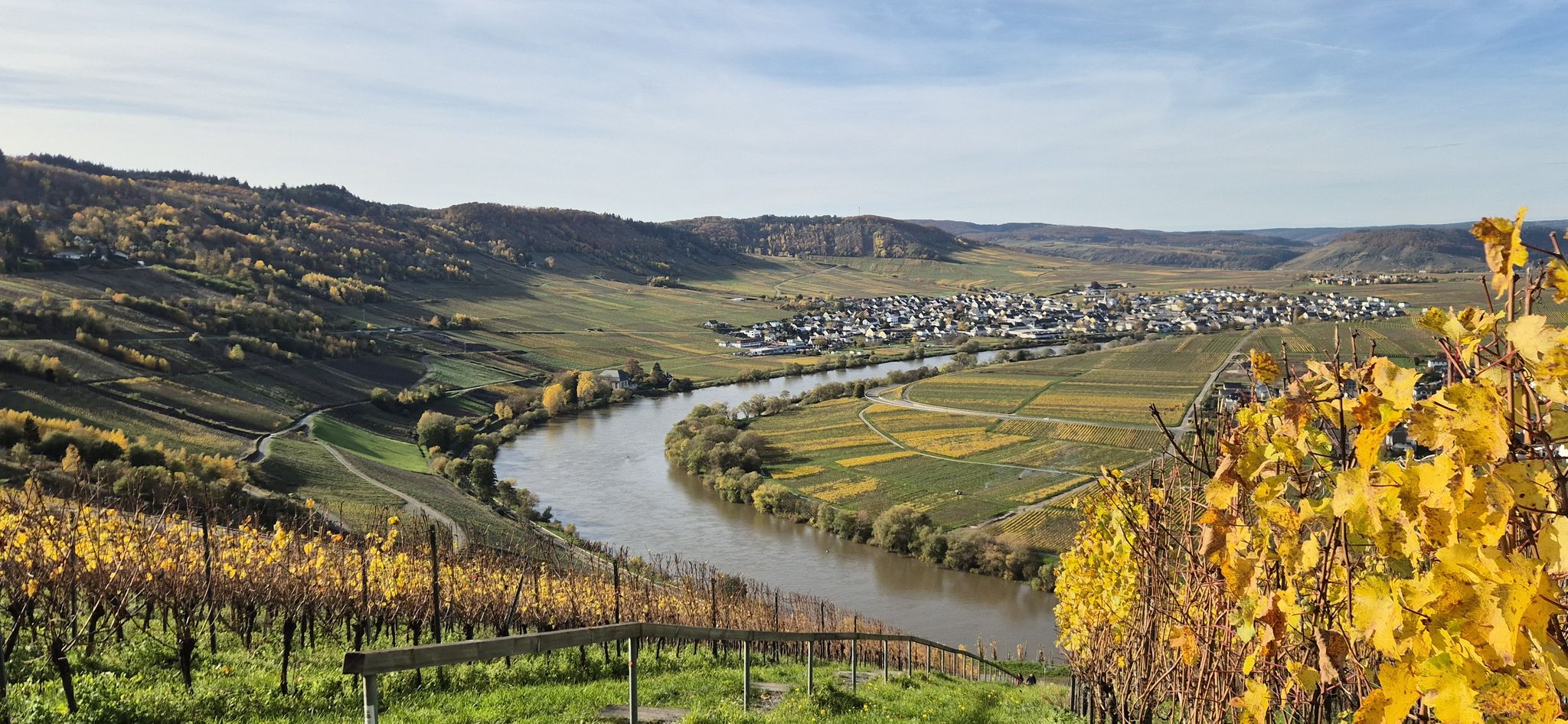 Moselschleife mit Blick auf Leiwen